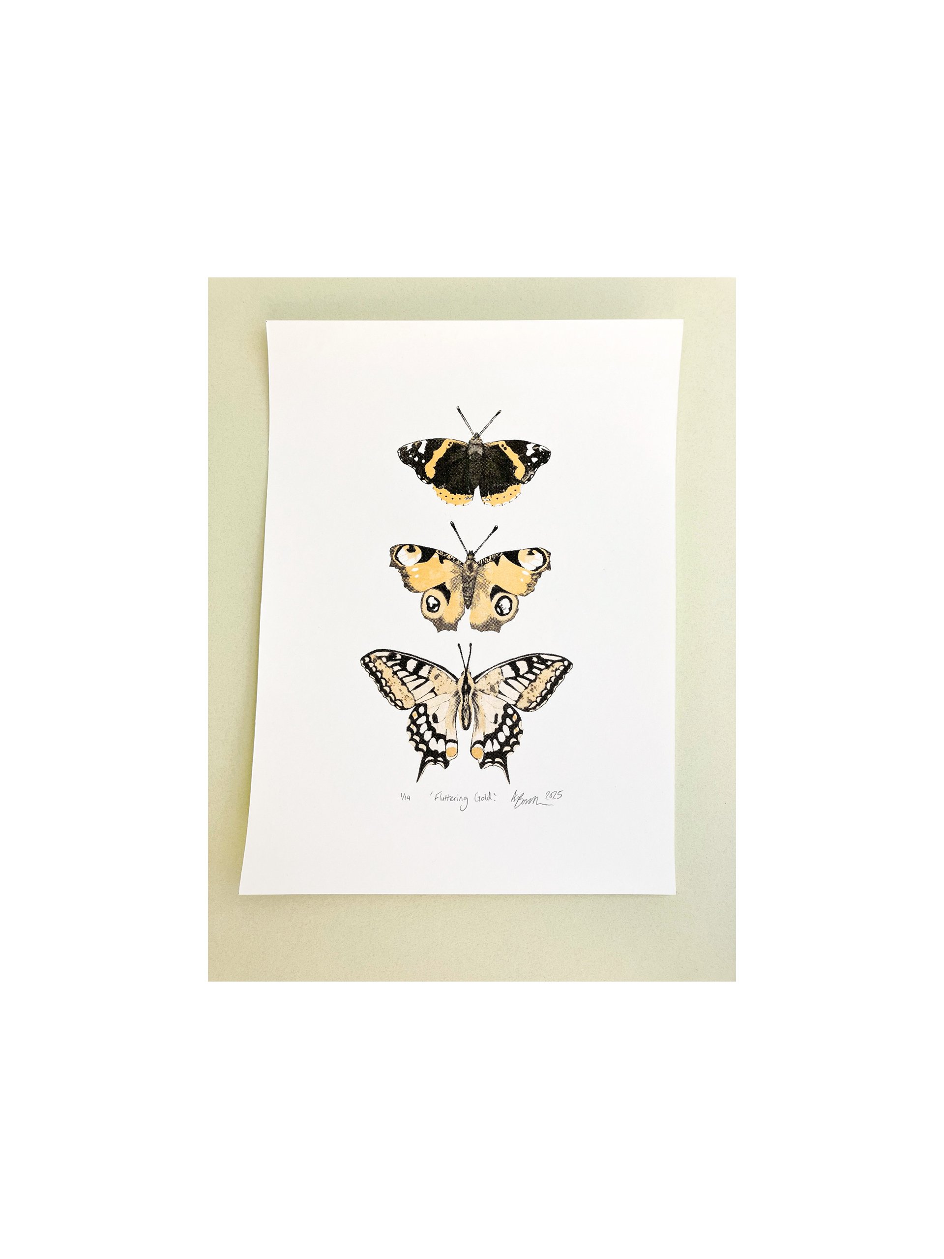 gold butterfly print.jpg