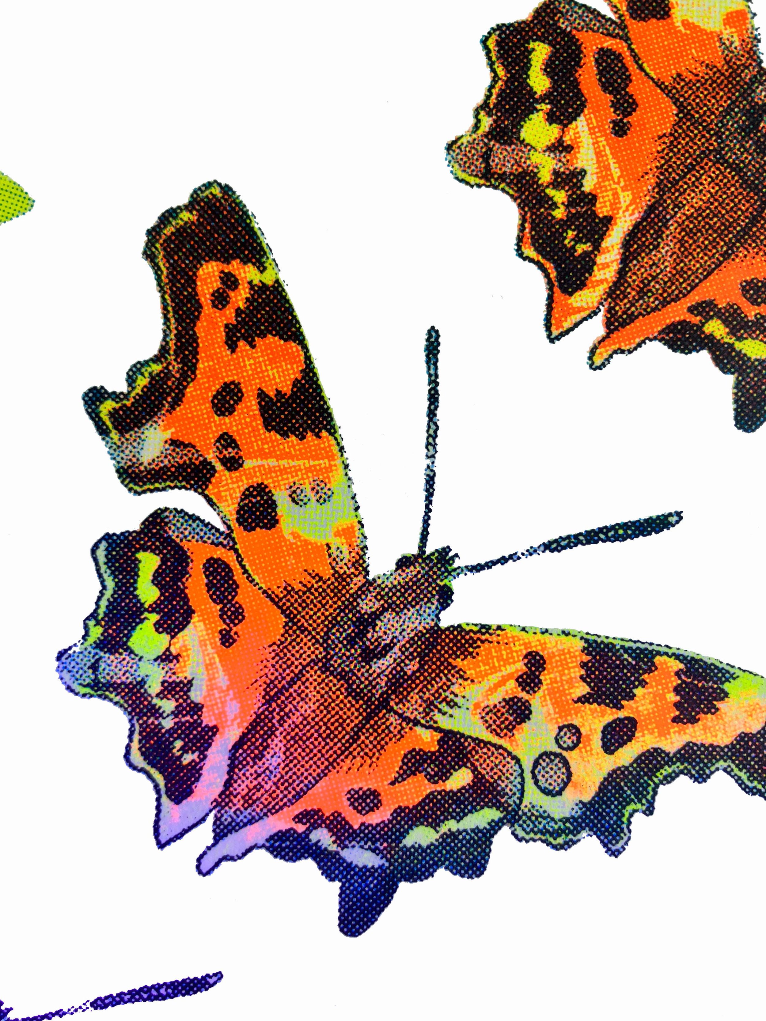 A Secret world of butterflies with UV light.jpg
