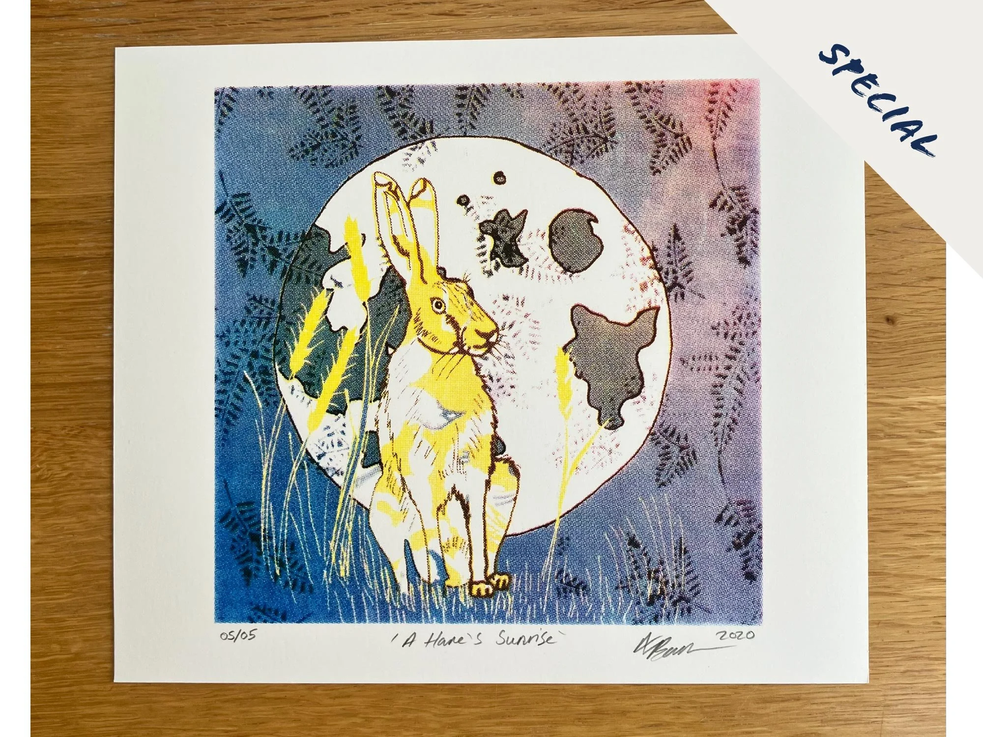 A Hare's Sunrise Colour Experiment