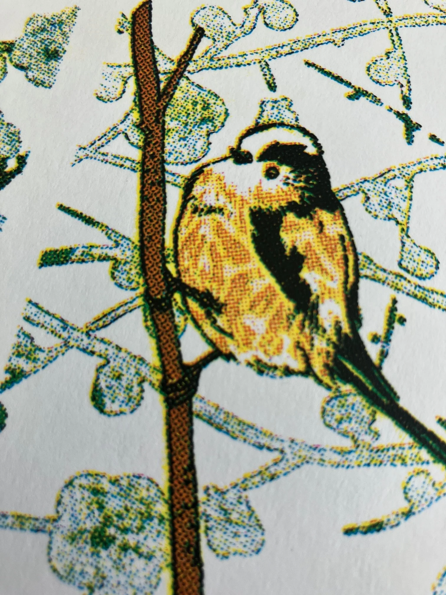 BBB off yellow layer.jpeg