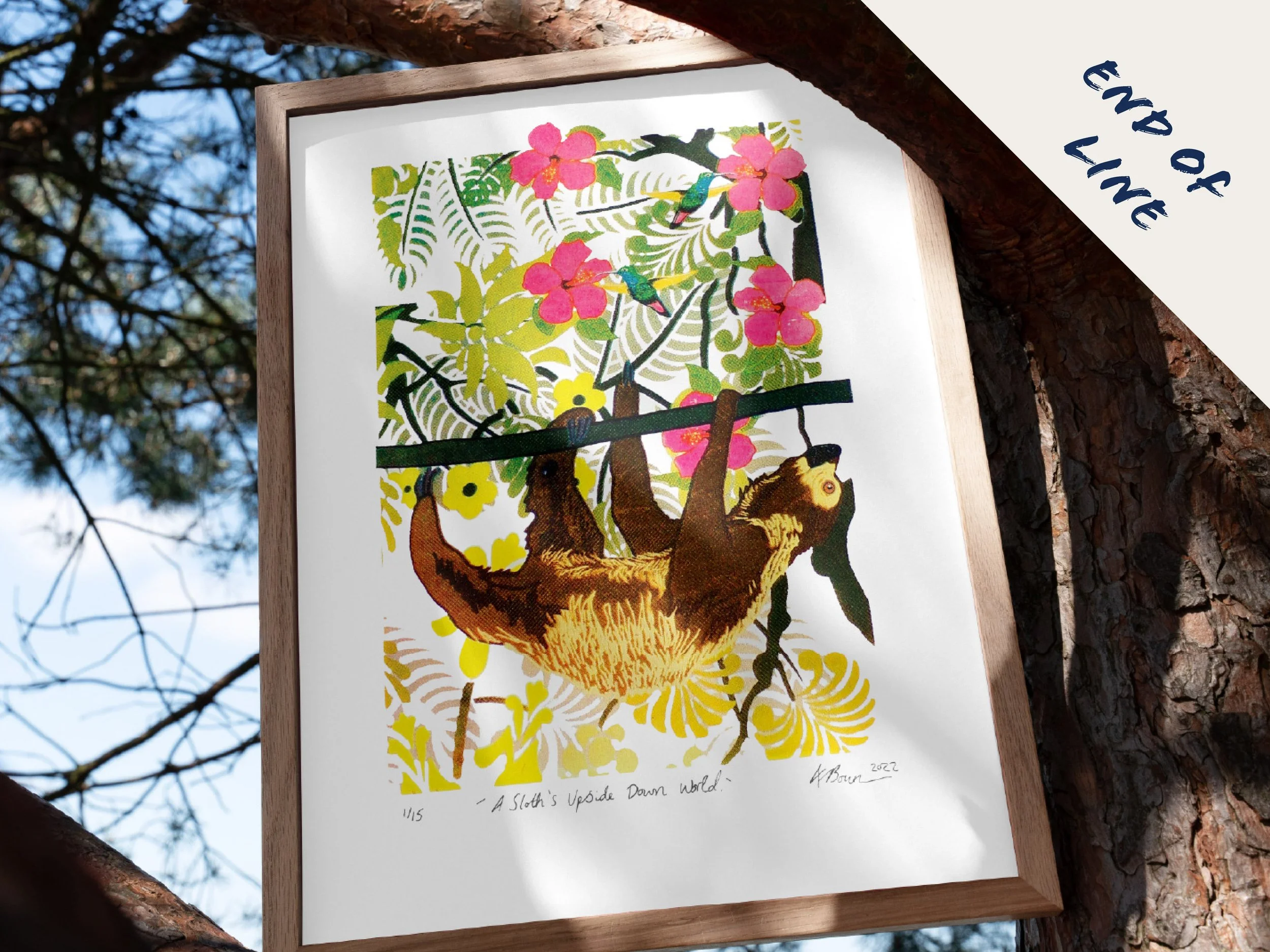 A Sloth's Upside Down World