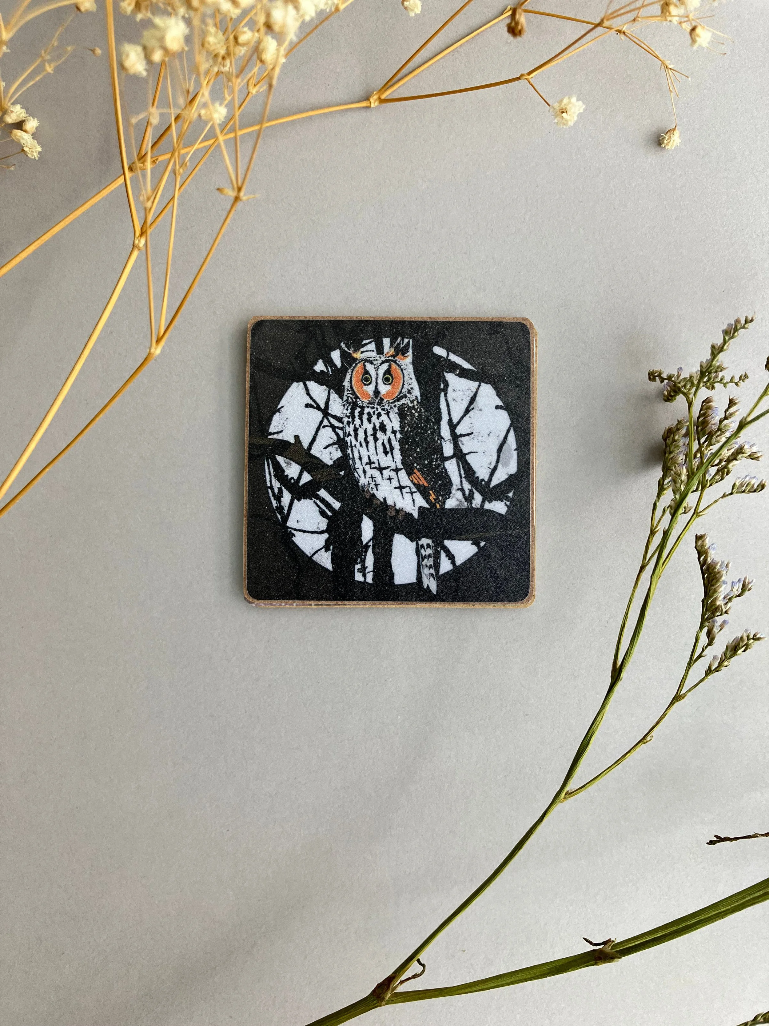 long eared owl magnet.jpg