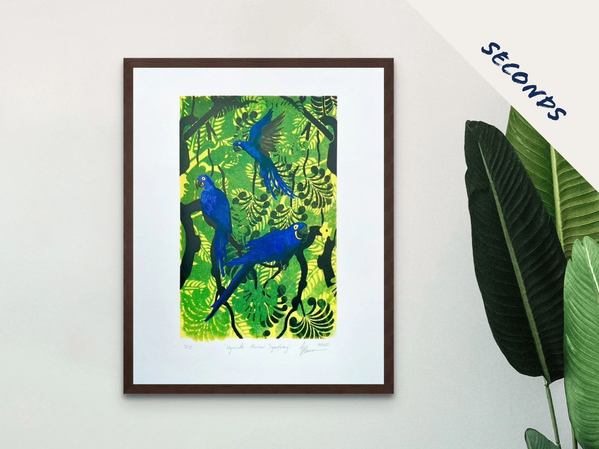 Hyacinth Macaws Seconds.jpg