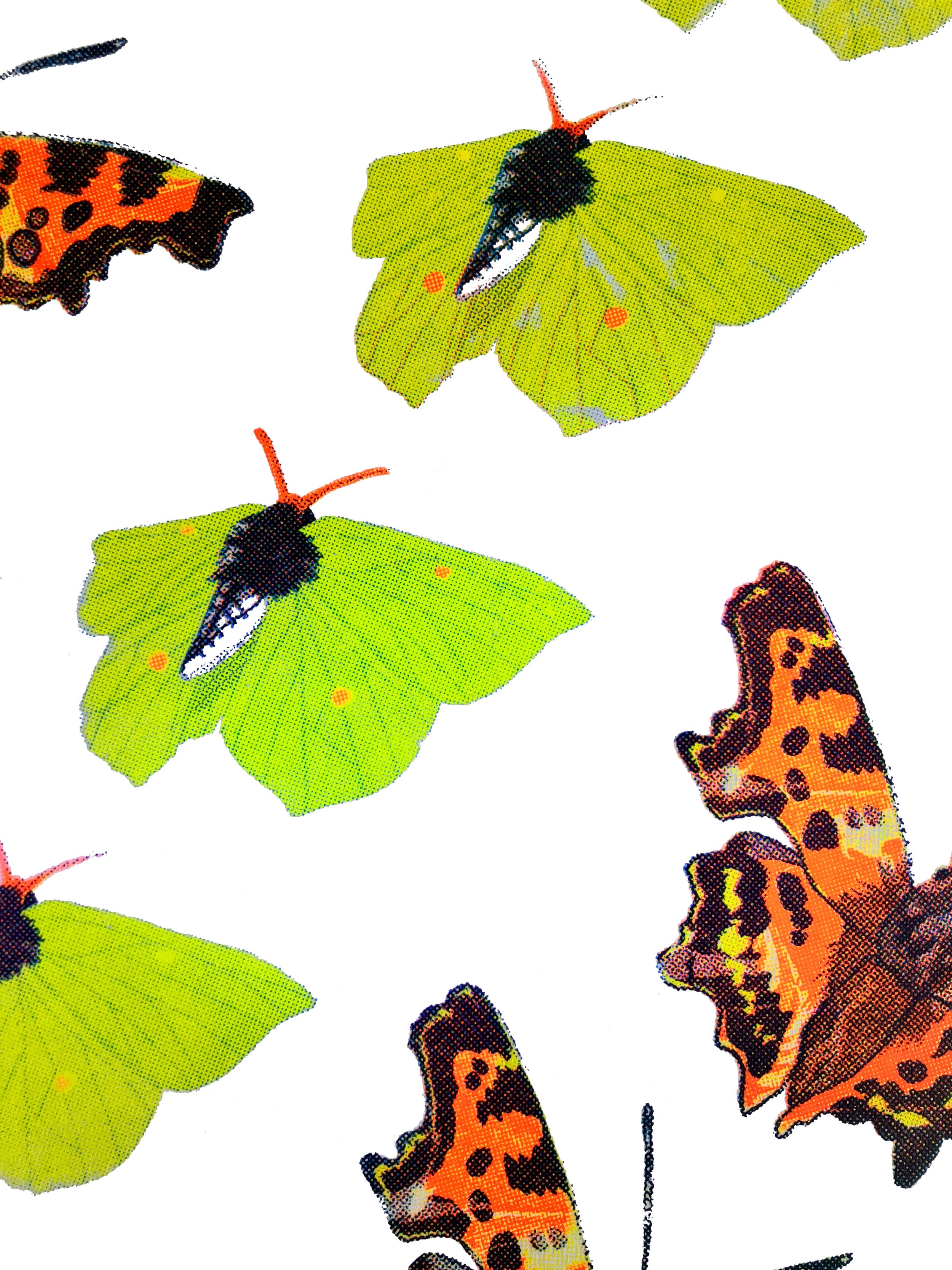 Butterfly UV 2.jpg