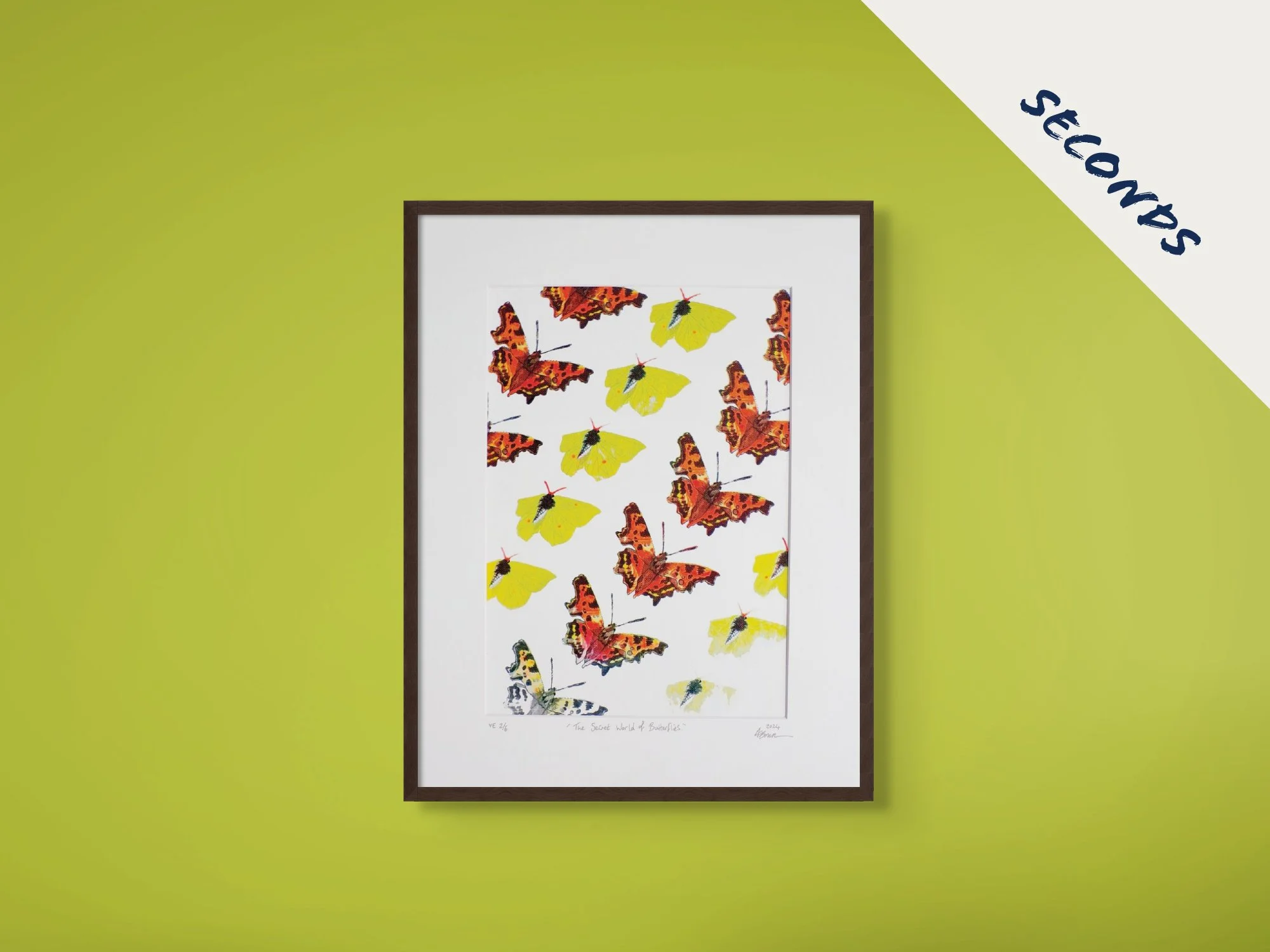 The Secret World of Butterflies SECONDS