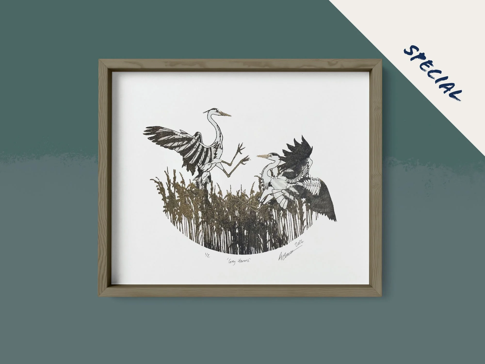 Grey Herons