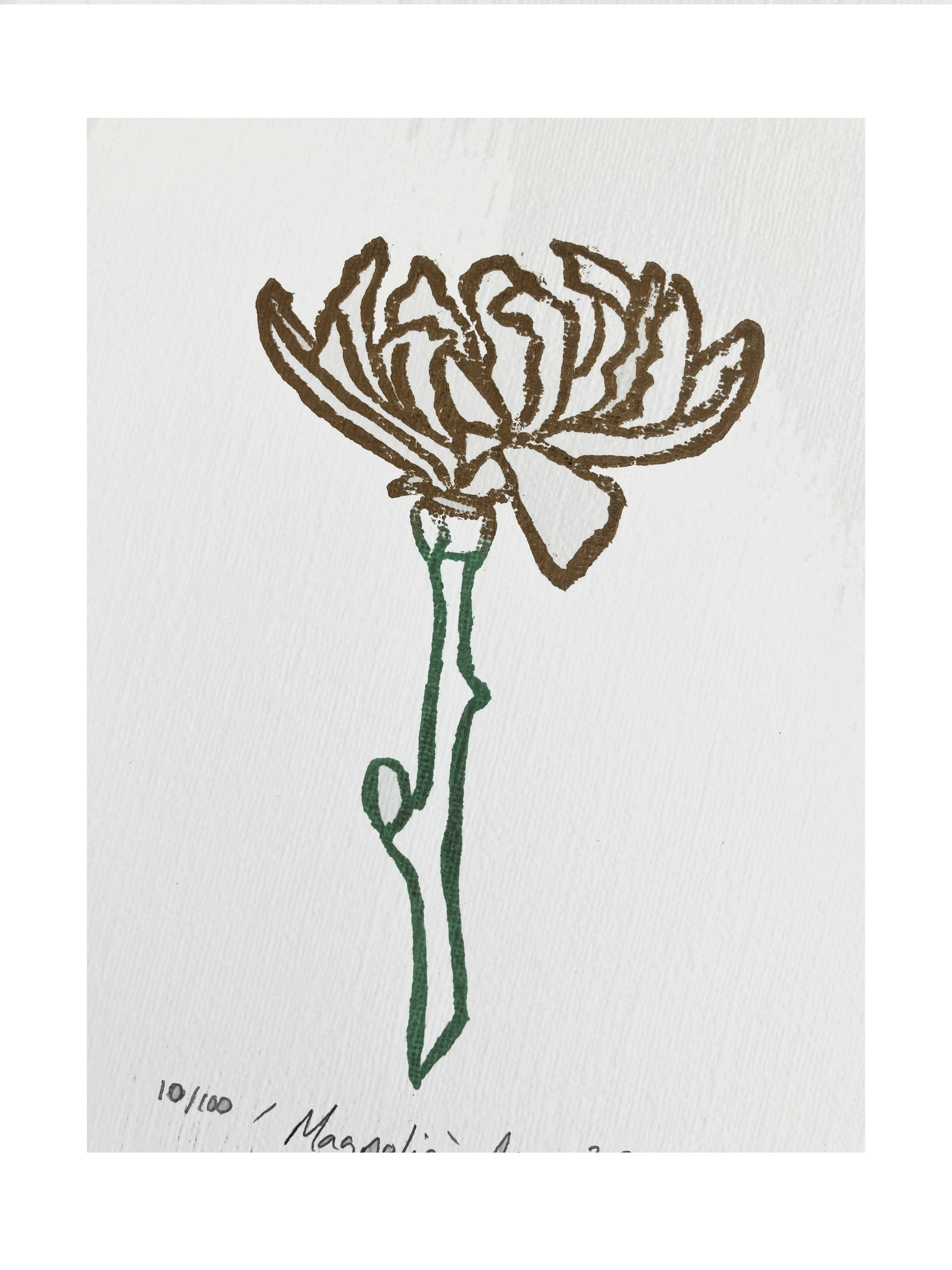 Magnolia Study close up 2.jpg
