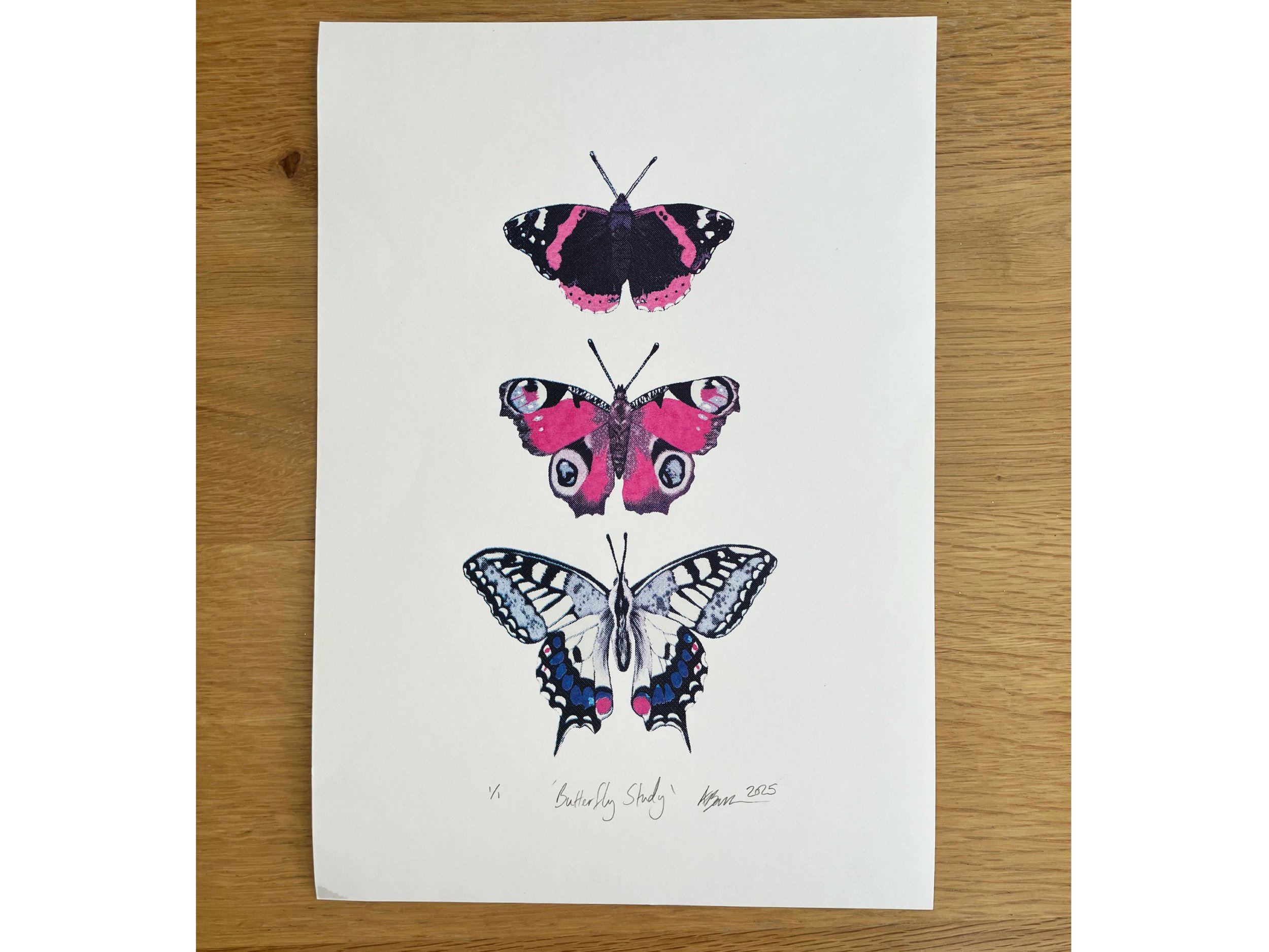 Blue Butterfly special 2.jpg