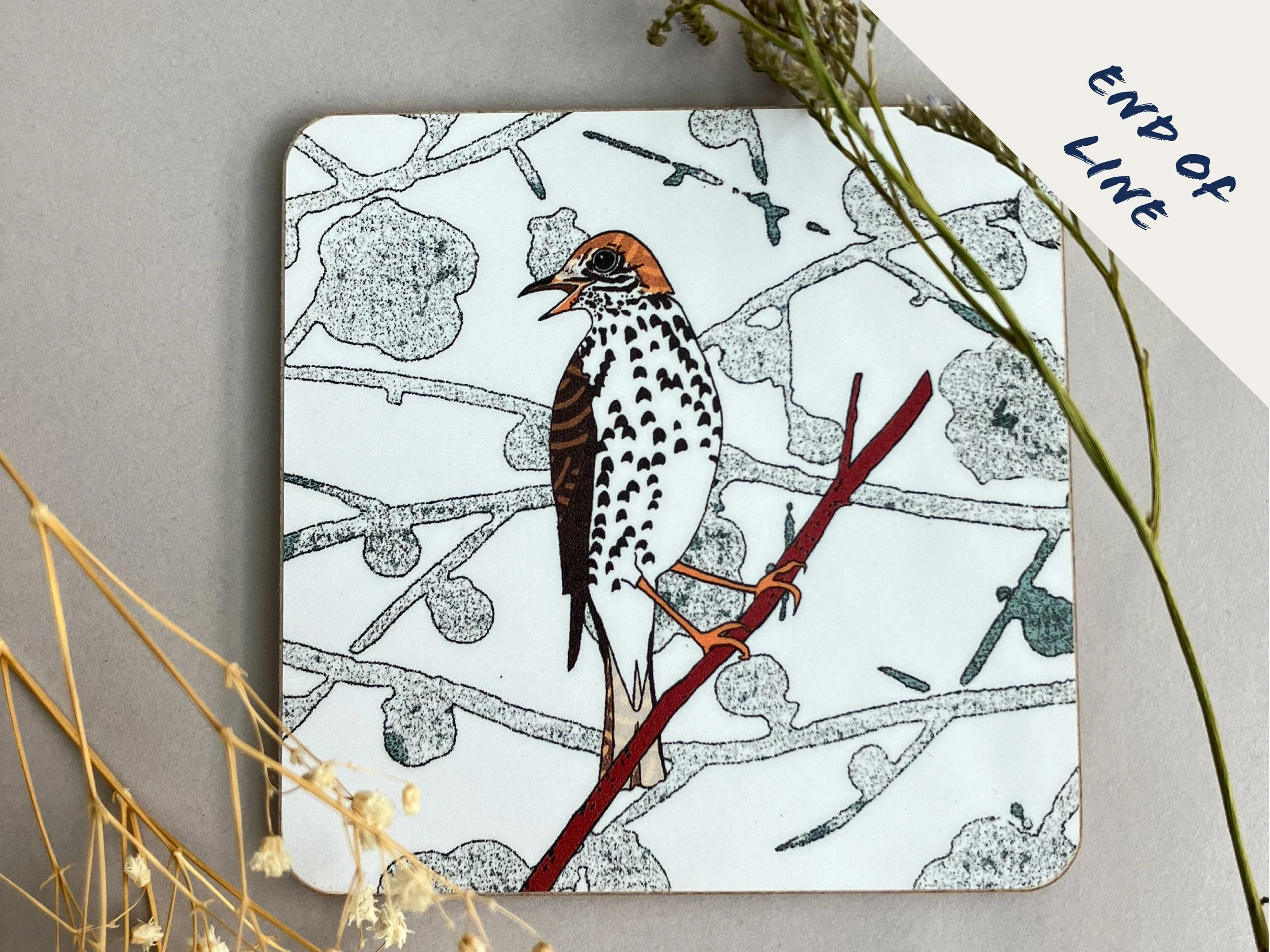 Song Thrush Coaster