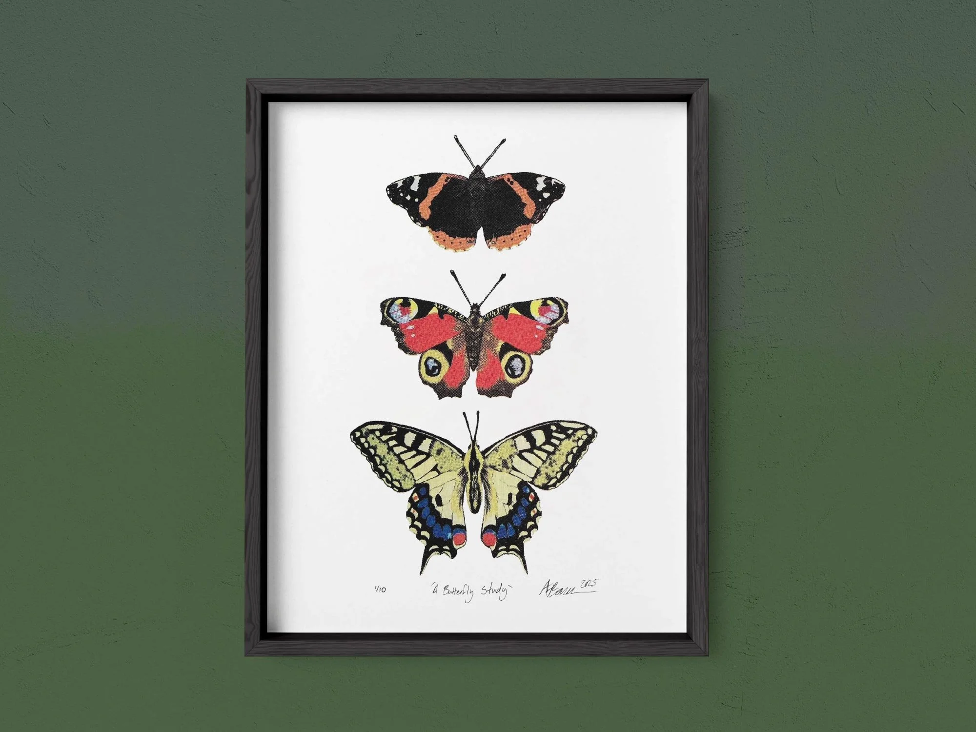 web butterfly study.jpg