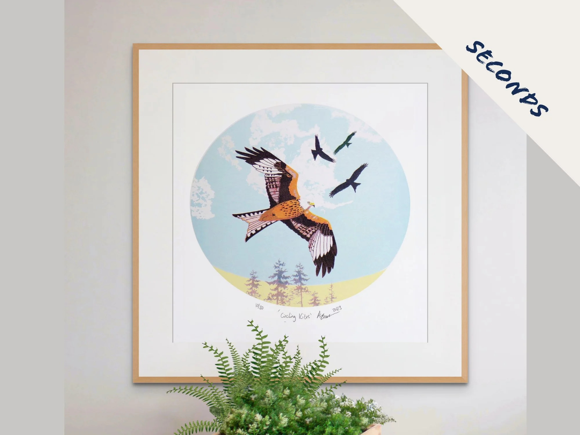 circling kites seconds.jpg