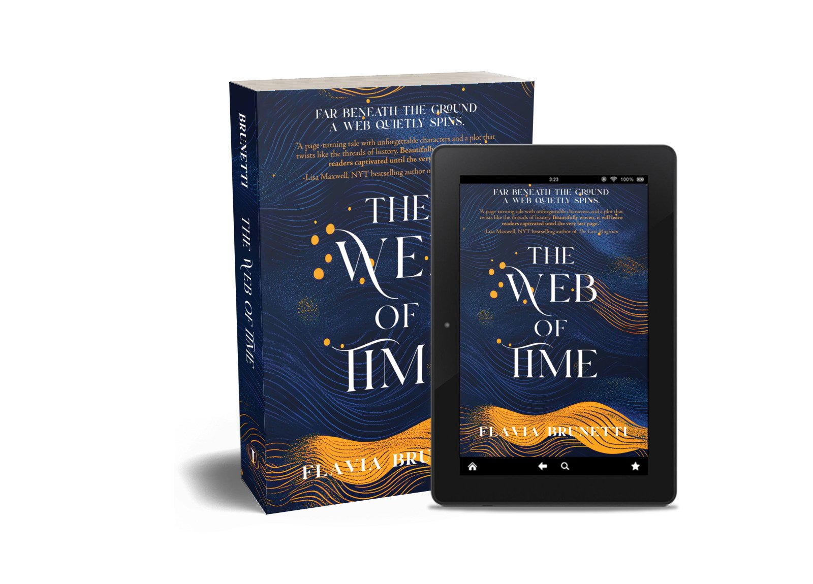 The Web of Time eBook