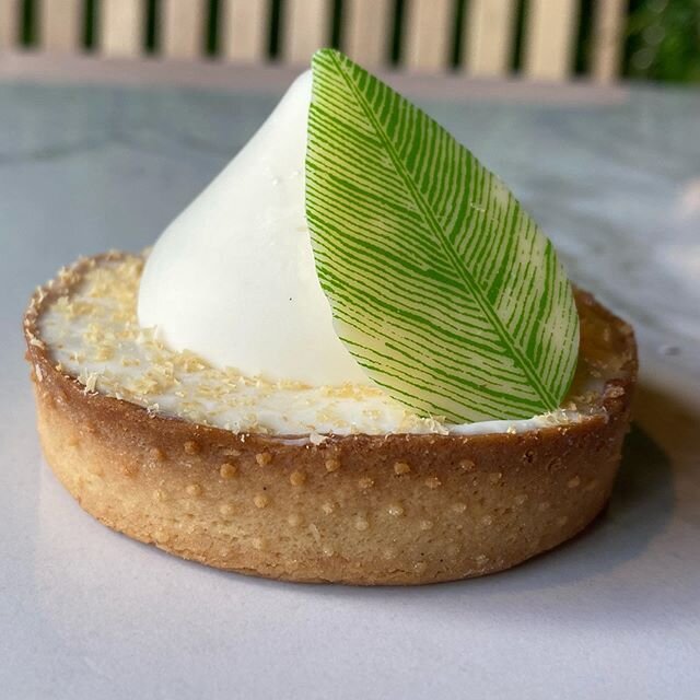 Meet CocoNutty 🌴🥥 Cashew coconut tart &amp; summer vibes 💫