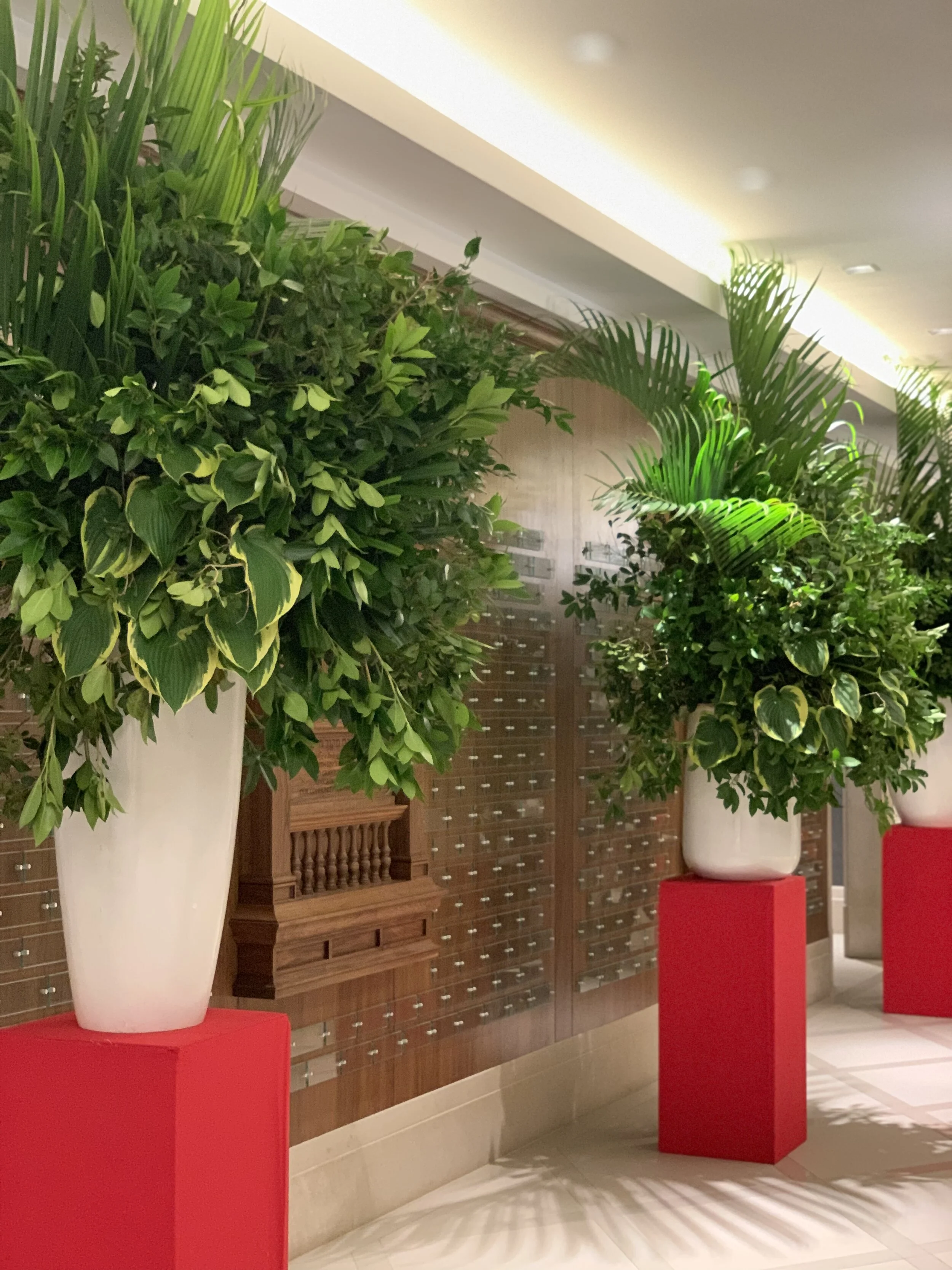 Фото 04.07.2019, 2 05 39.jpg