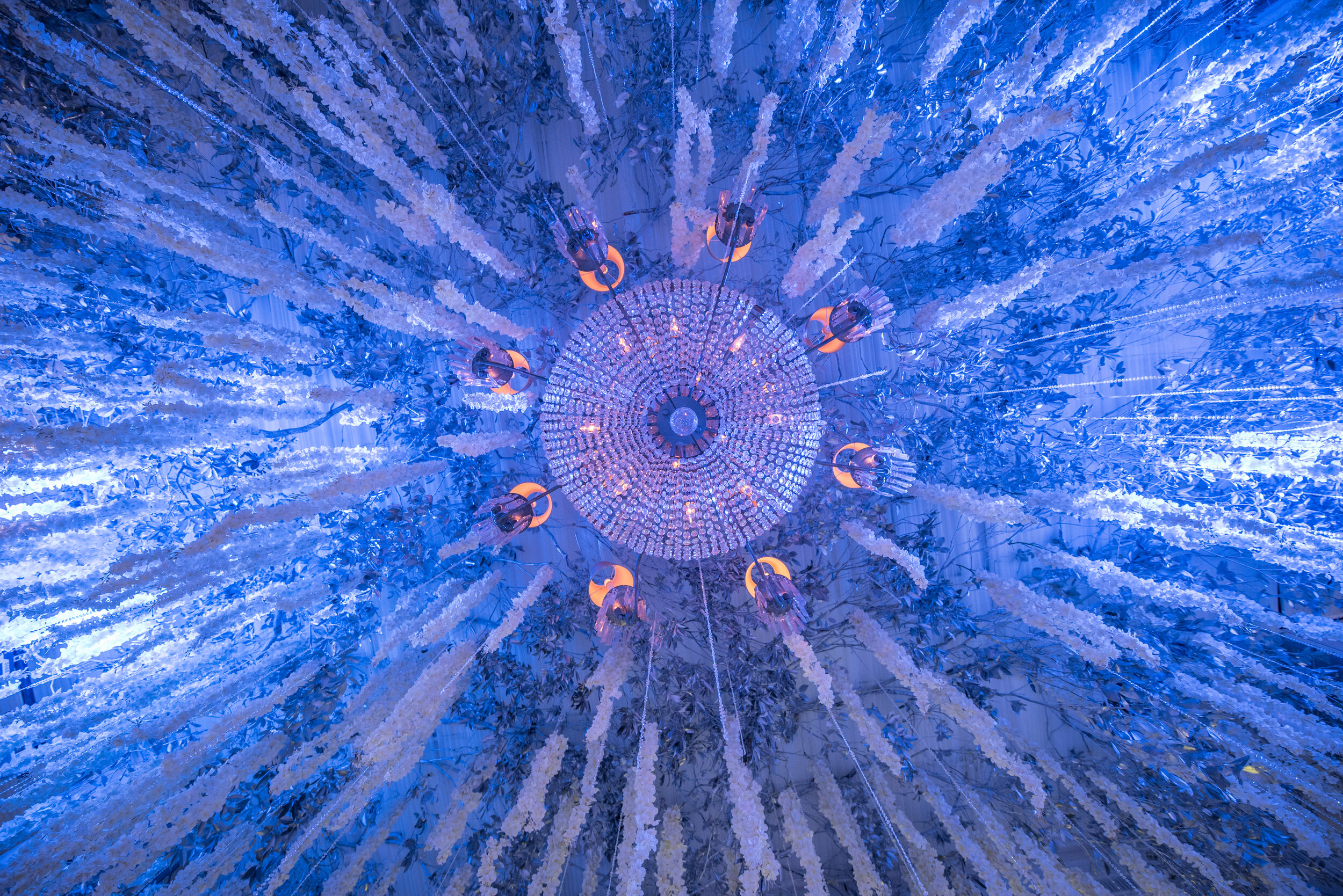 20170302_untitled_0200.jpg