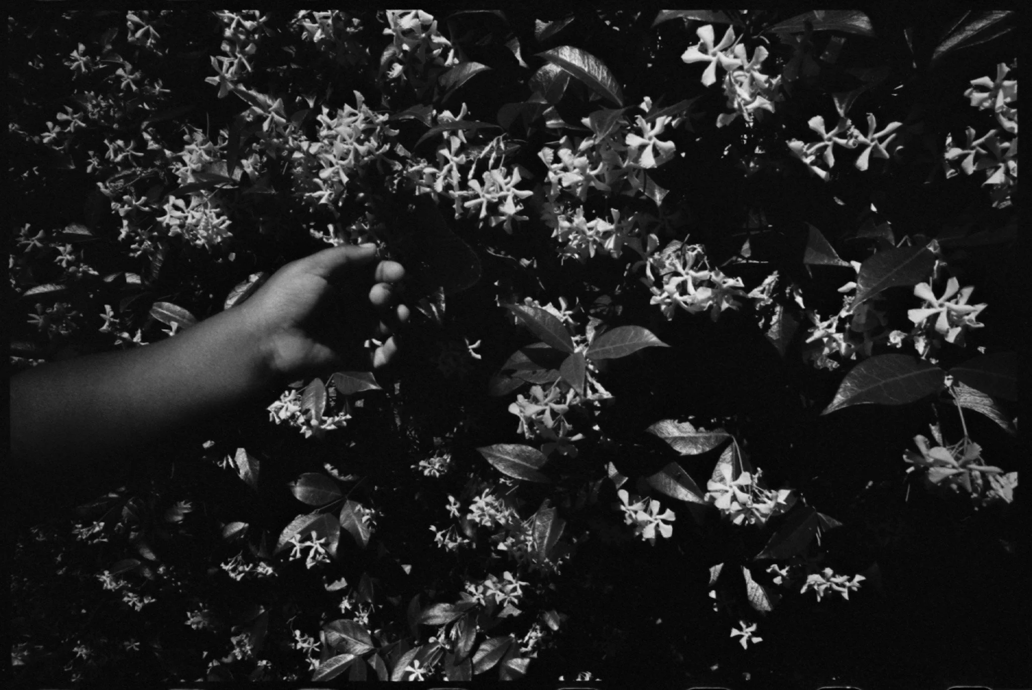 4.25 roll 6 frame 130004.jpg