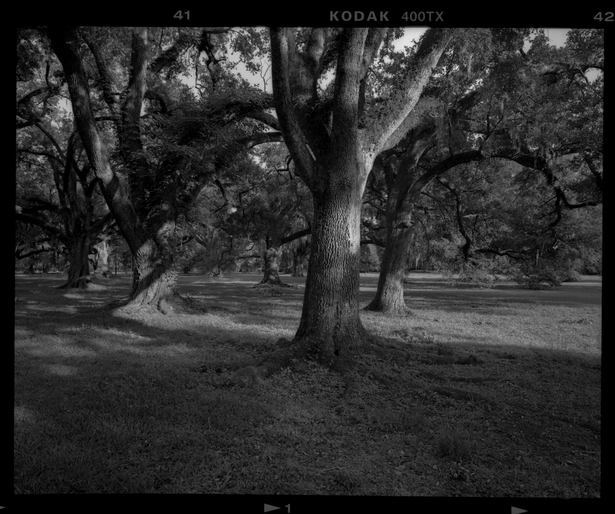 3.24 roll 1 (1) (33).jpg