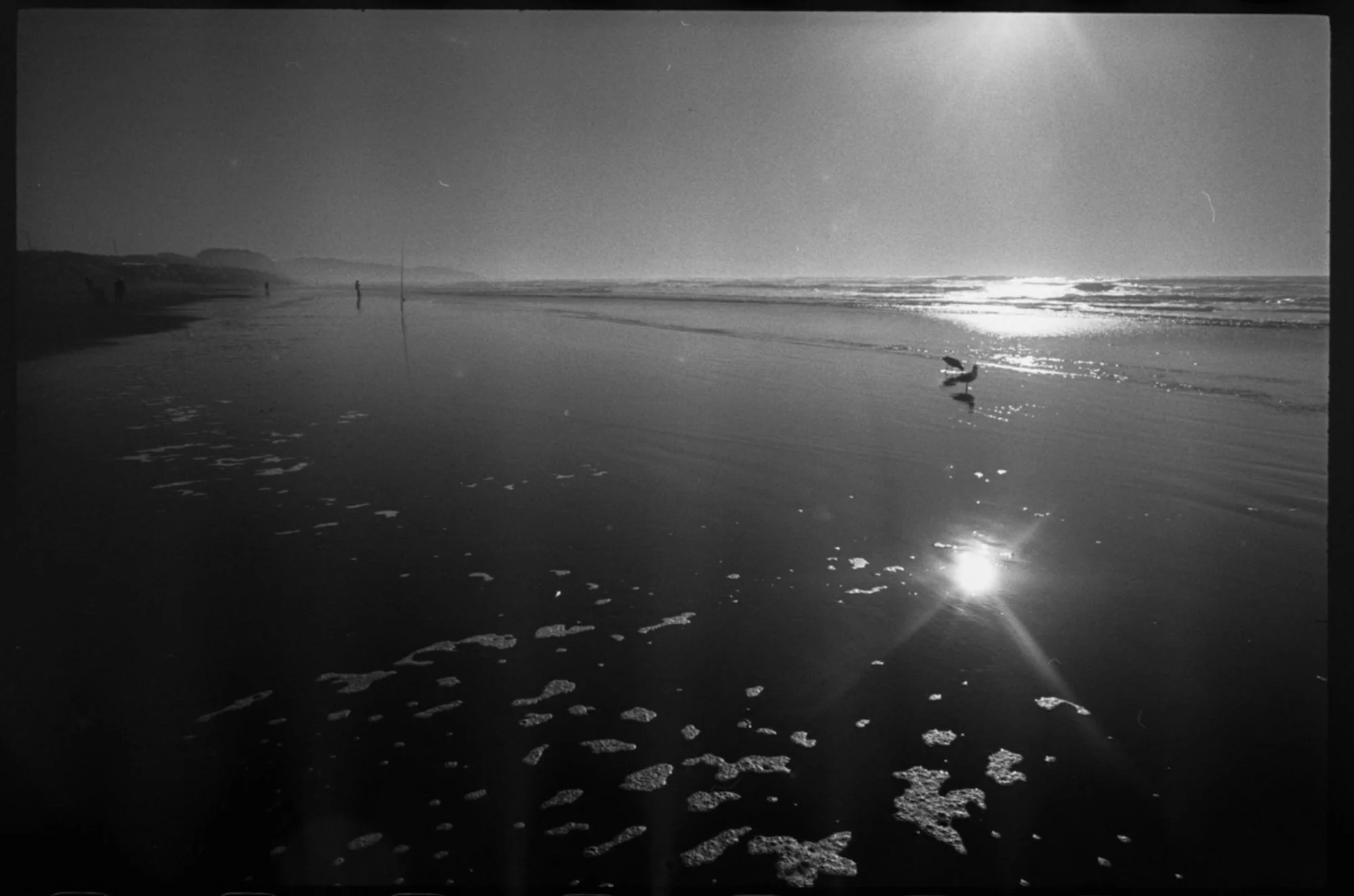 12.24 roll 1 frame 14.jpg