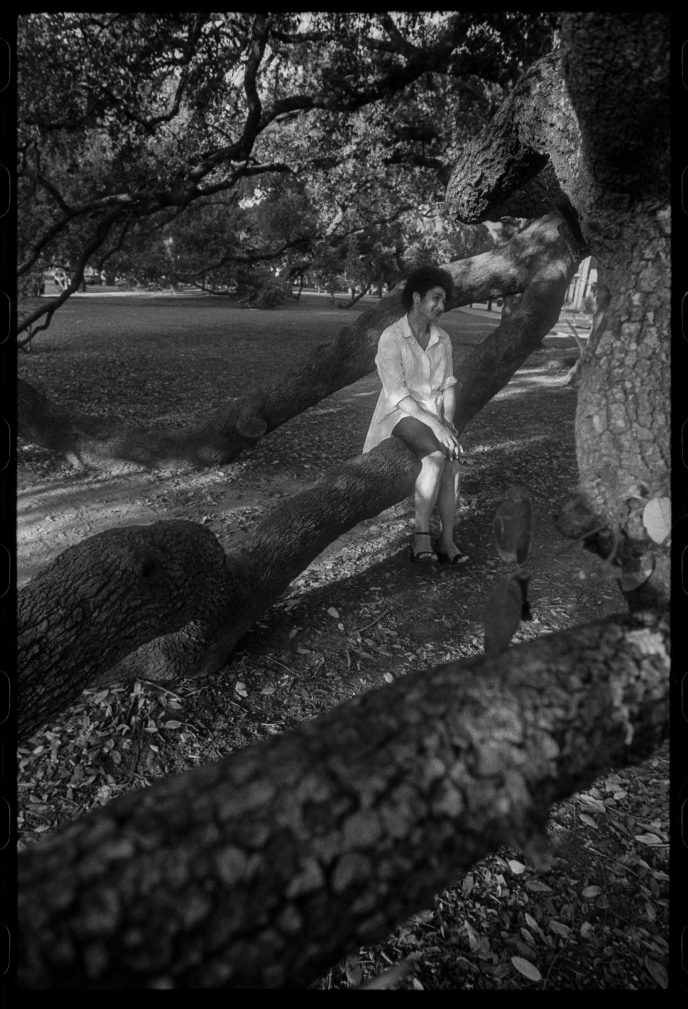 11.25 roll 13 frame 0003.jpg