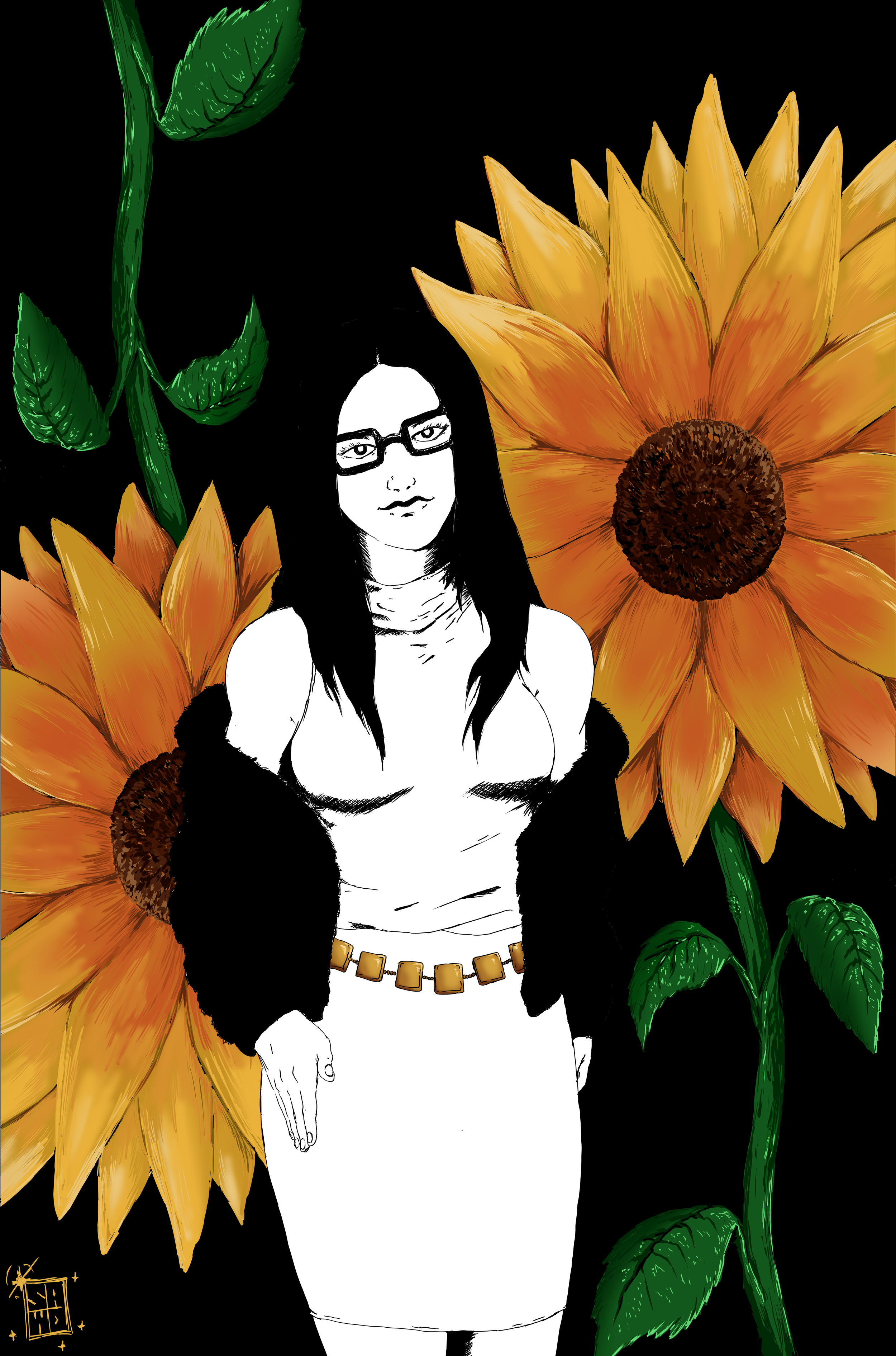 where the sun shines