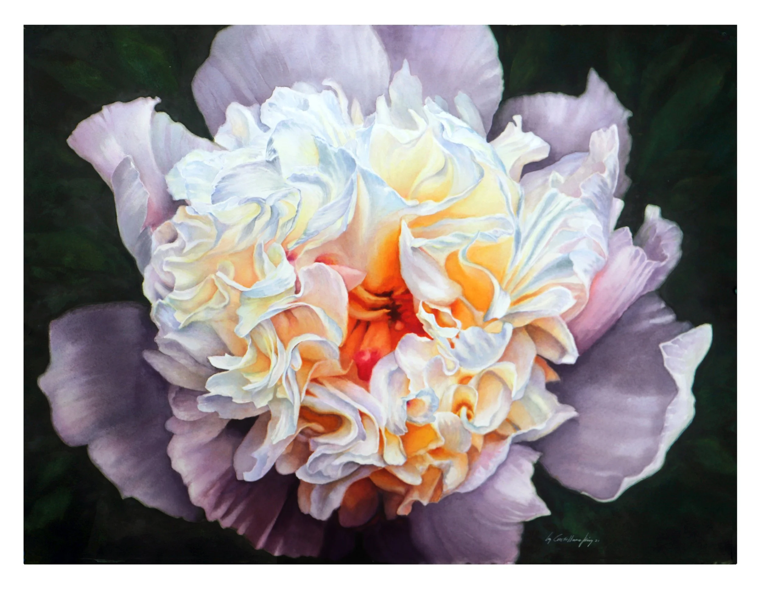 White Peony 11x14.jpg