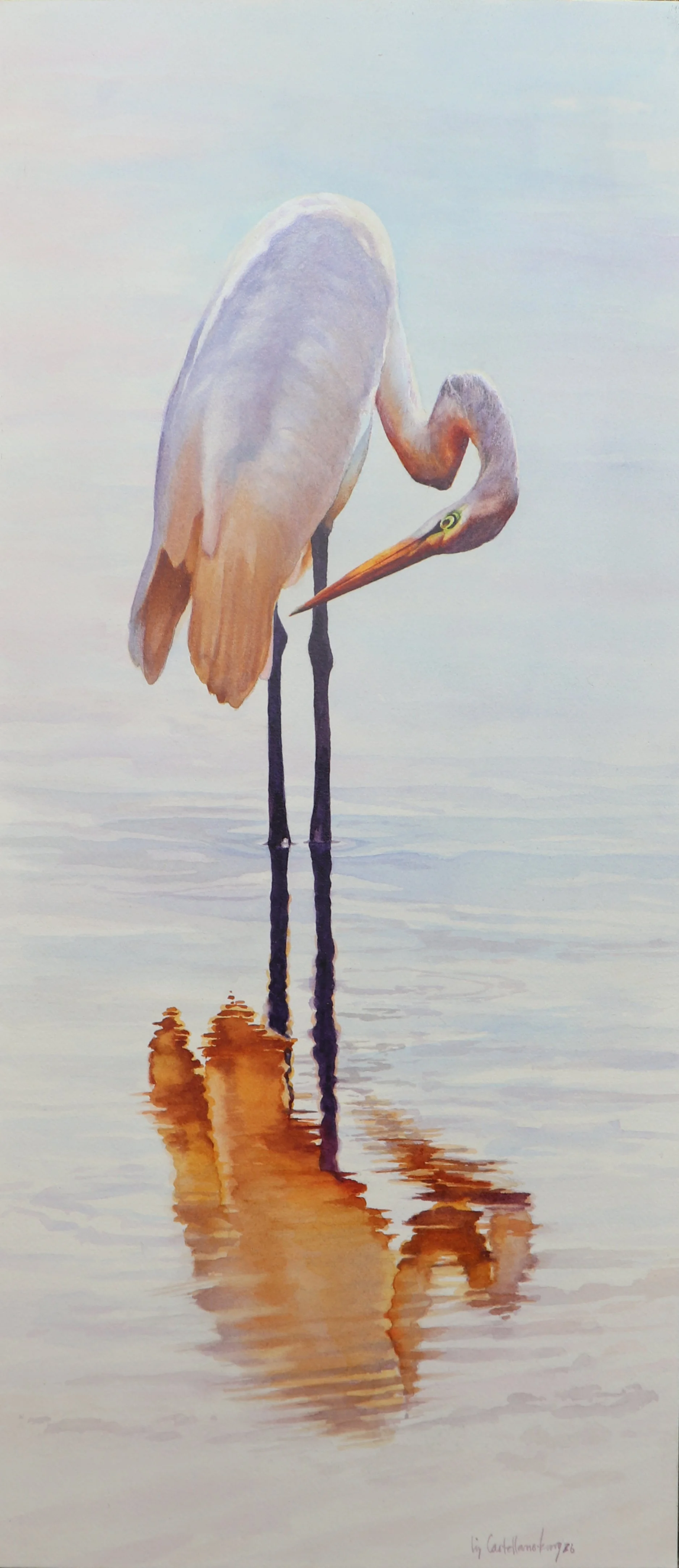 Reflections Full Size Egret.jpg