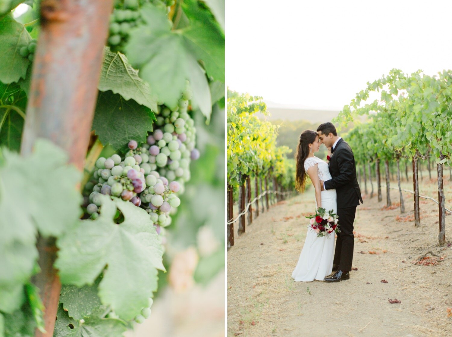 Wedding at Sbragia Family Winery-34.jpg