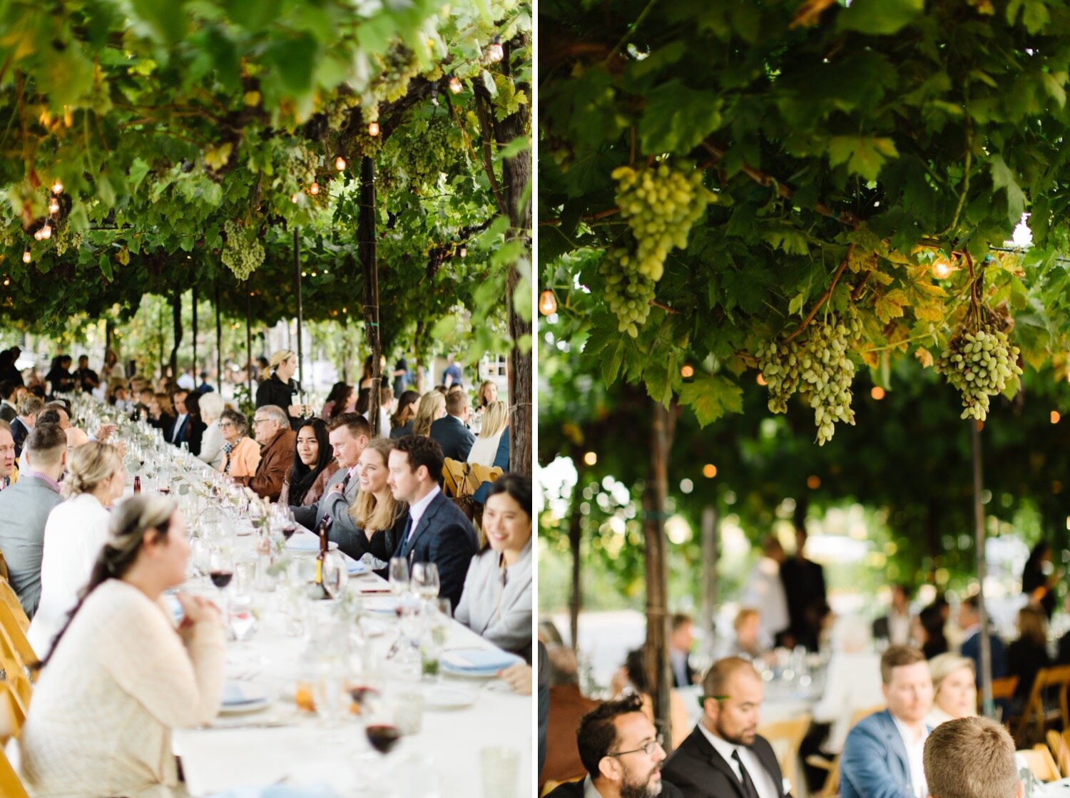 Wedding at Trentadue Winery in Geyserville California-32.jpg