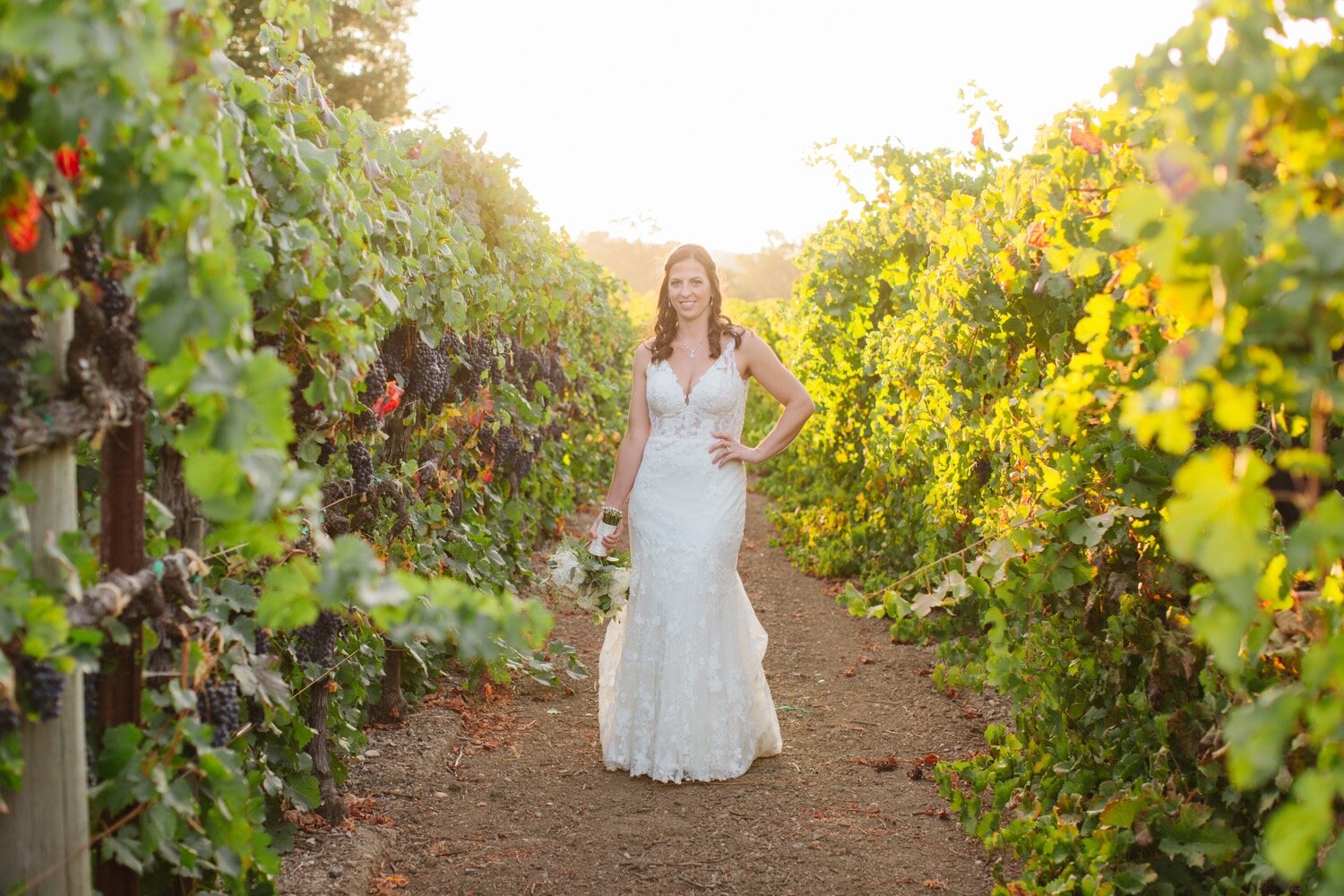 Wedding at Trentadue Winery in Geyserville California-37.jpg