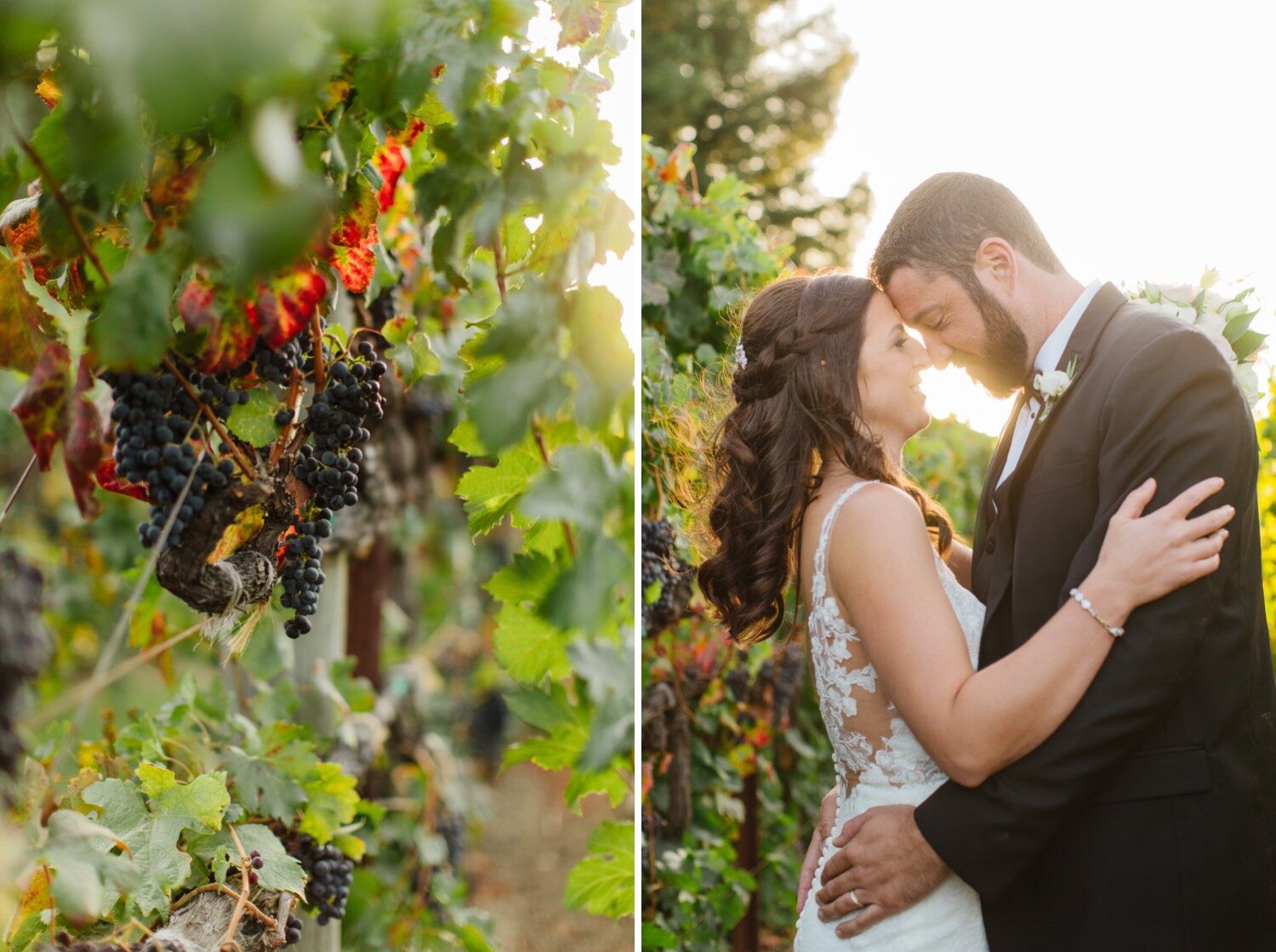 Wedding at Trentadue Winery in Geyserville California-38.jpg