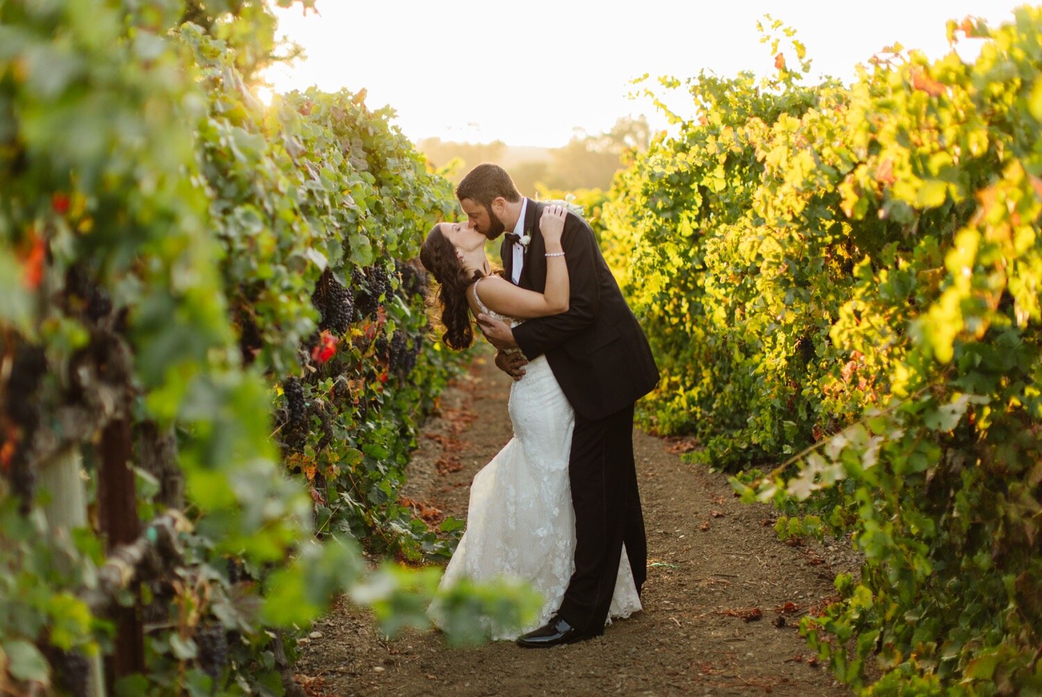 Wedding at Trentadue Winery in Geyserville California-39.jpg