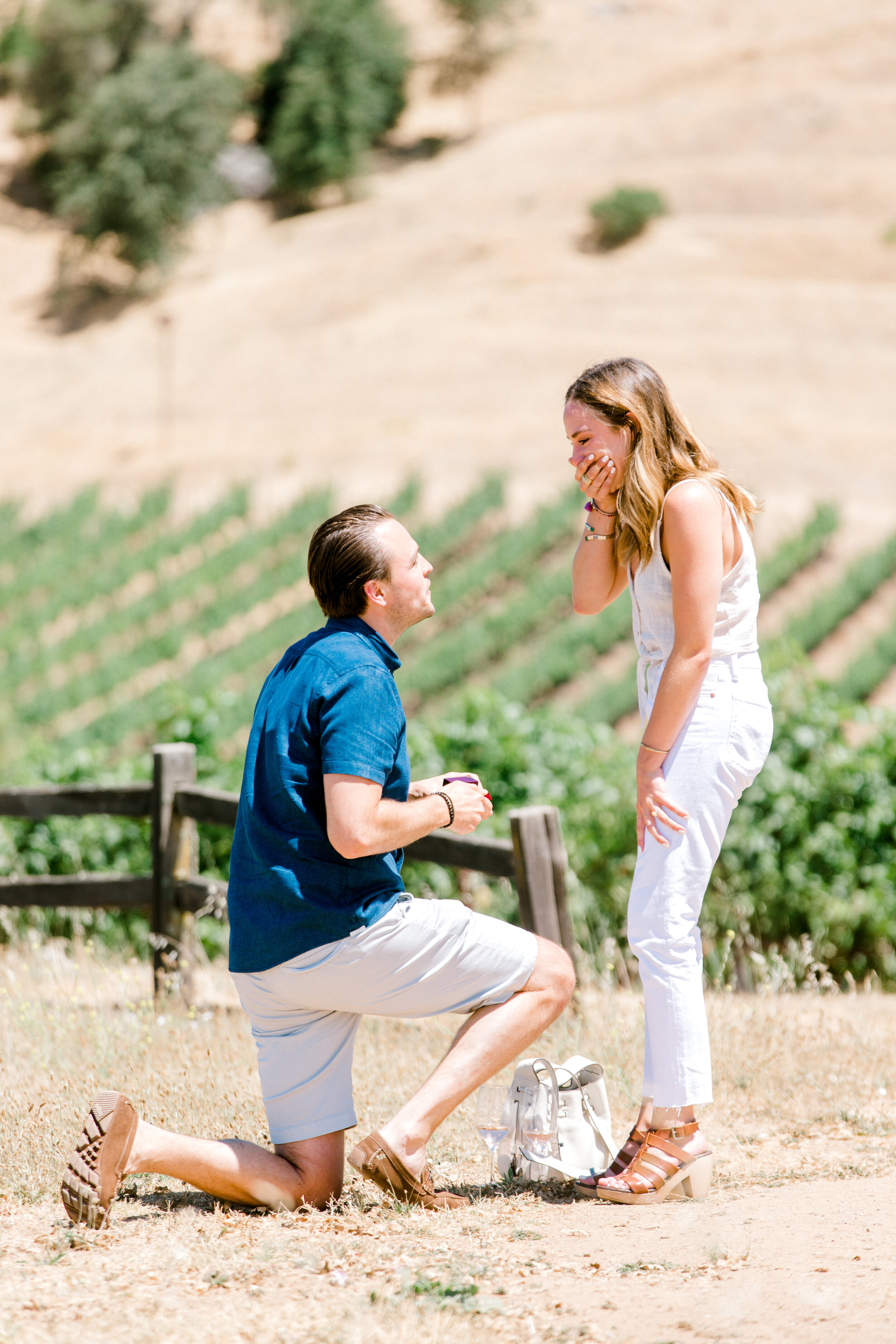 proposal at Hanna Winery in Healdsburg California.jpg