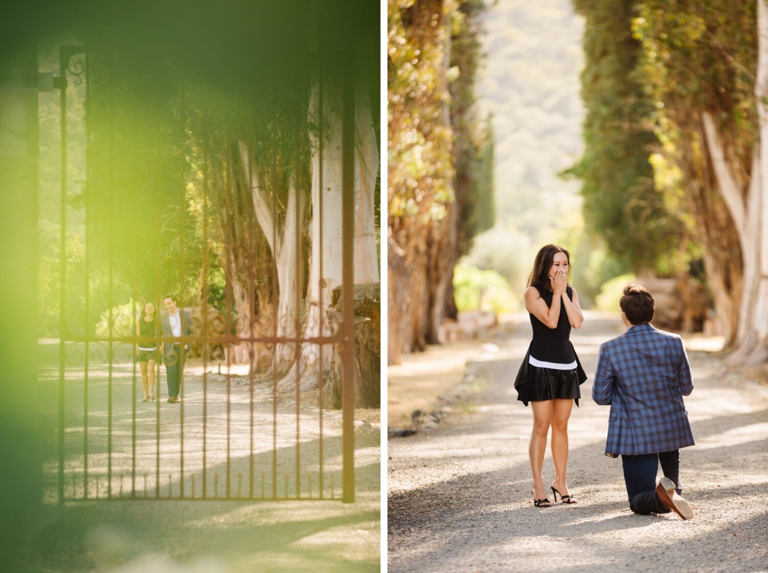 Proposal in Napa Valley-1.jpg