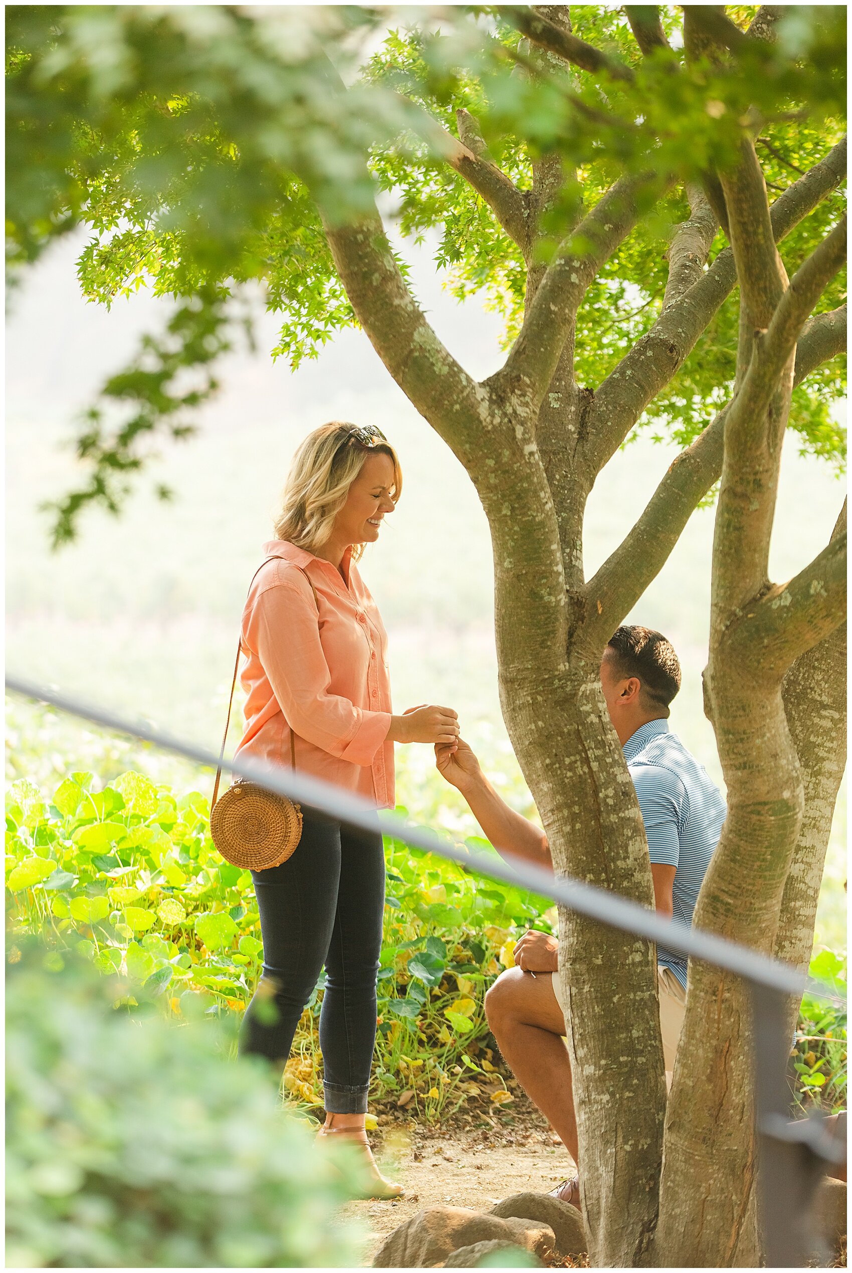 Proposal at Sodaro Winery in Napa_0005.jpg