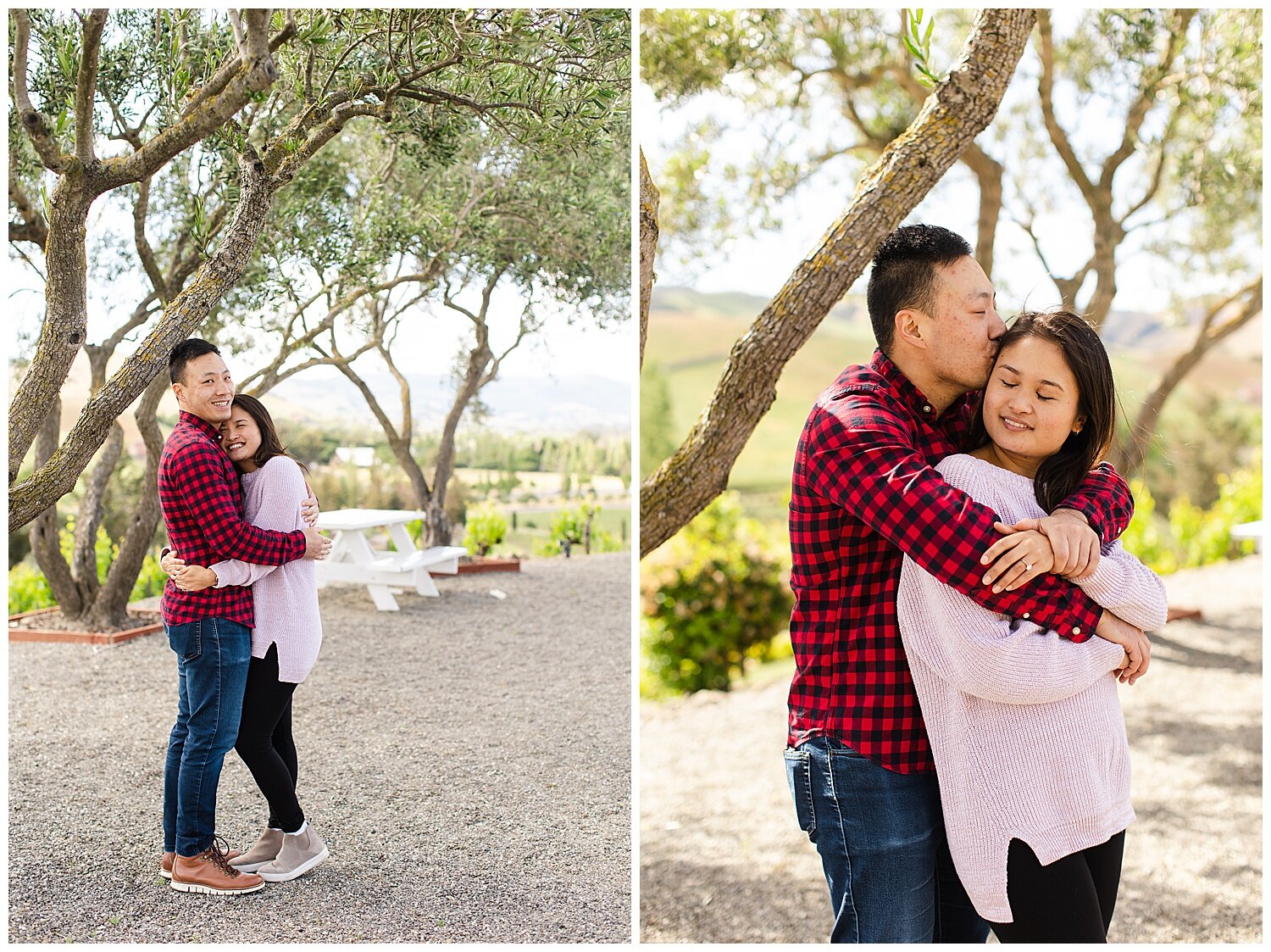 Proposal at Viansa Sonoma Winery in Sonoma California_0011.jpg