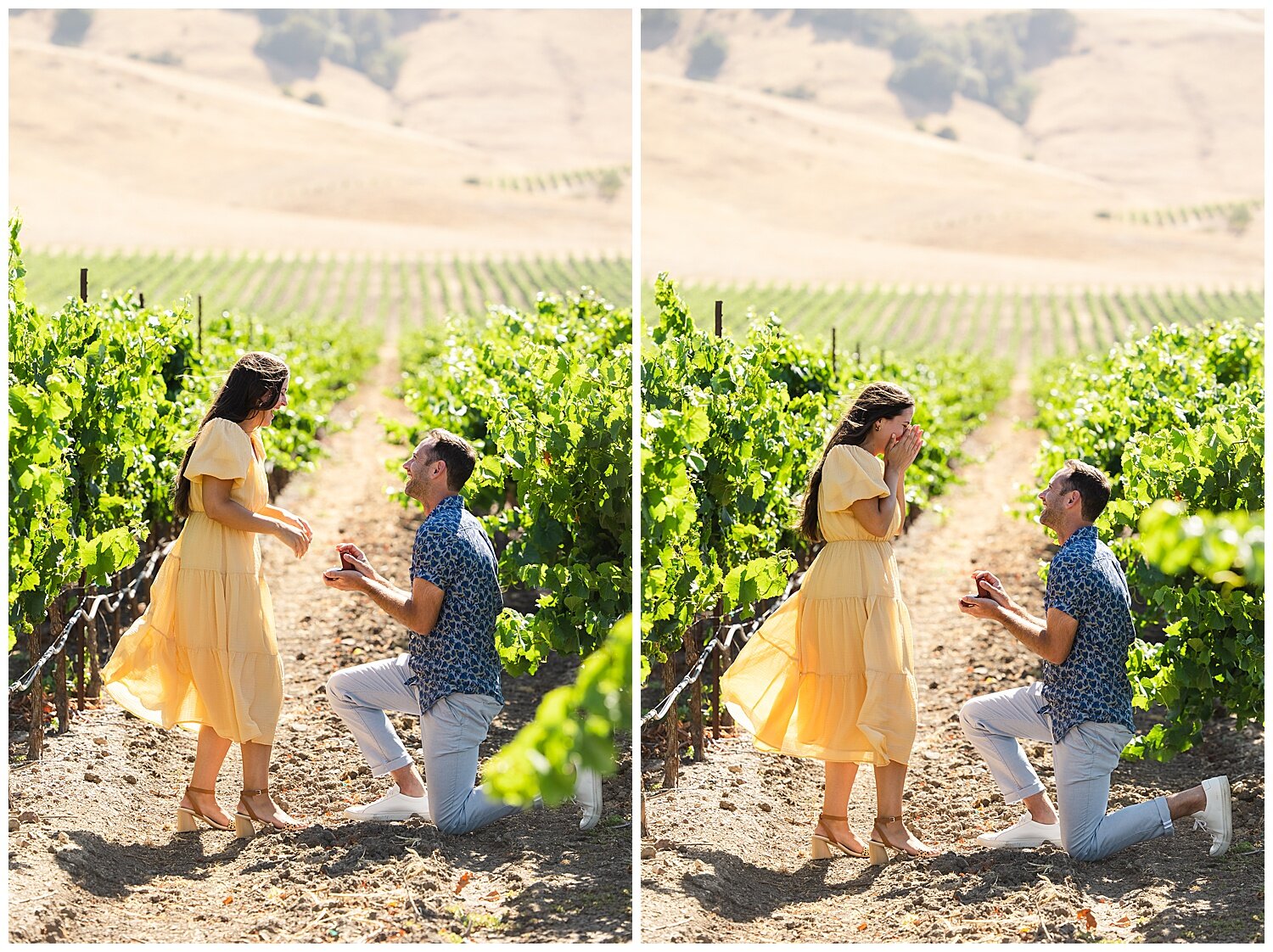 Proposal at Roche Vineyards in Sonoma California_0006.jpg