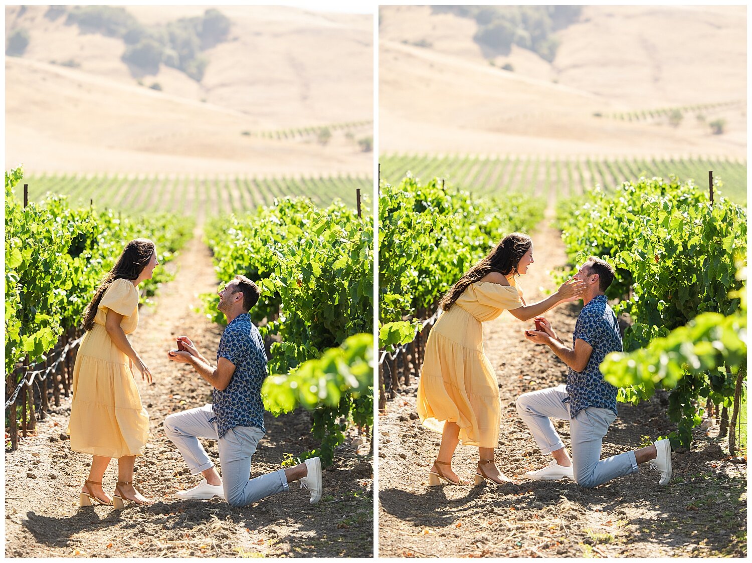 Proposal at Roche Vineyards in Sonoma California_0007.jpg