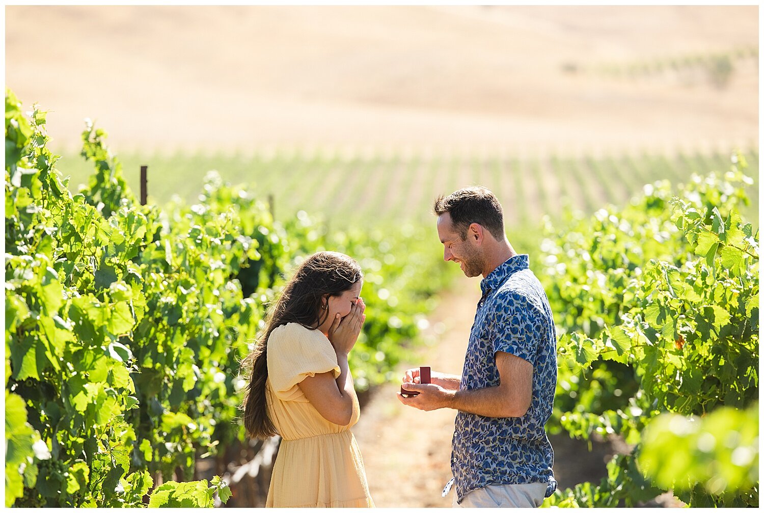 Proposal at Roche Vineyards in Sonoma California_0008.jpg