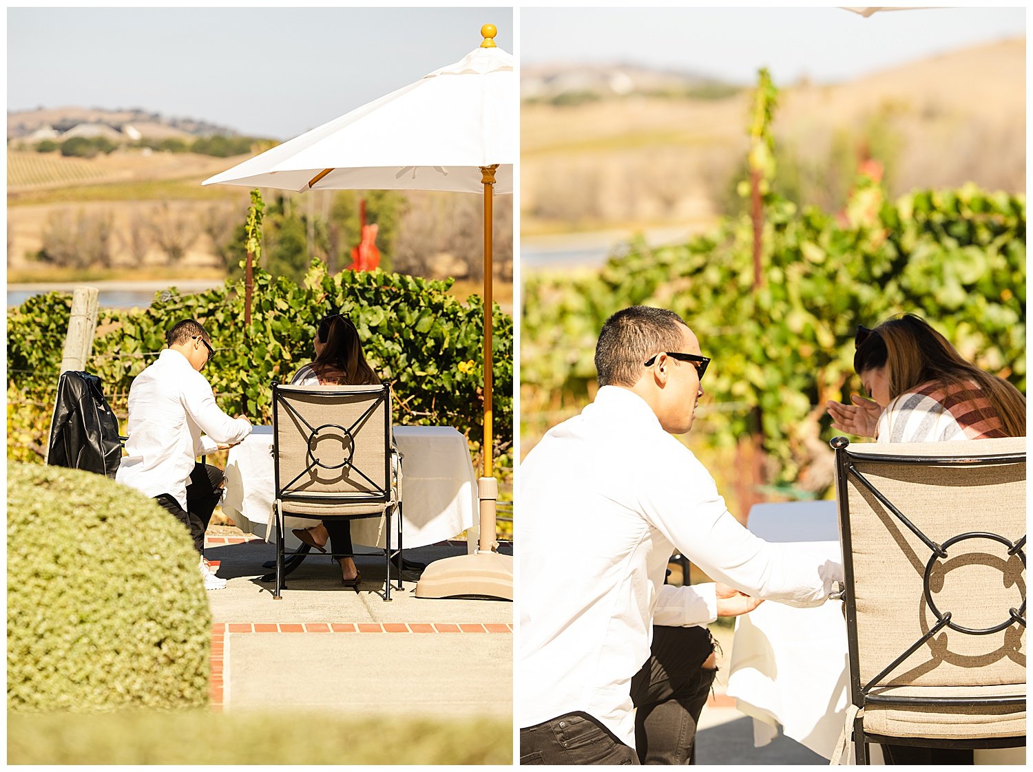 Private Outdoor Proposal at Domain Carneros in Sonoma_0001.jpg