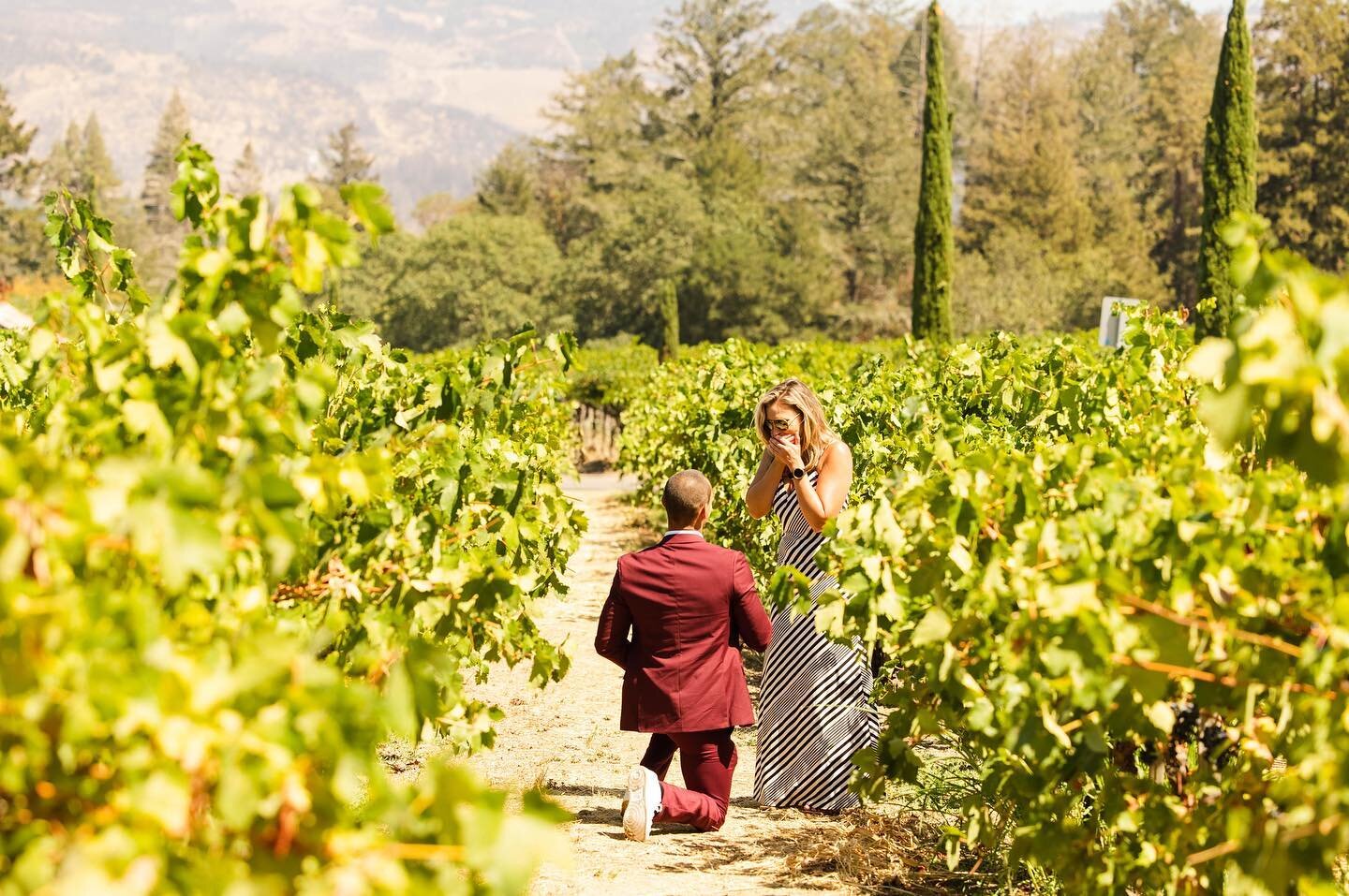 Don&rsquo;t mind me, just peeking behind vineyards, grabbing photos of this sweet couple! Congrats you two- live up in Hawaii!