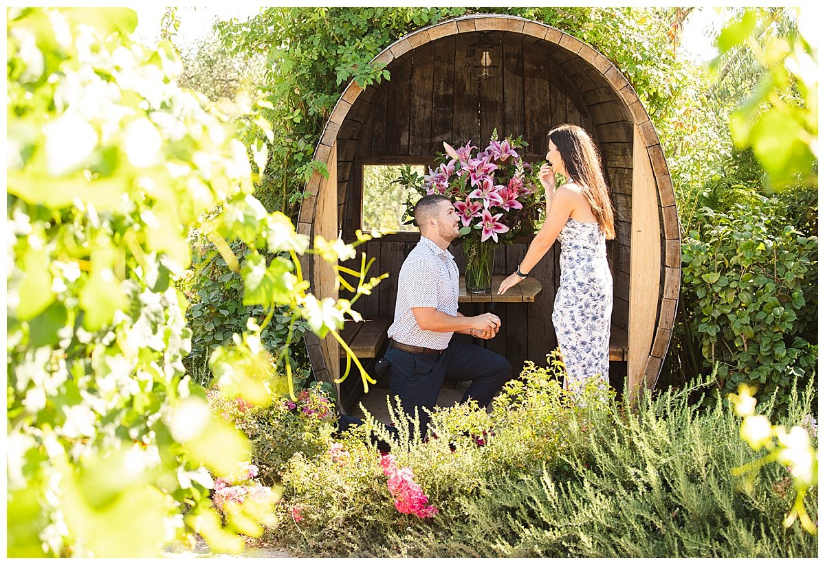 Proposal at Martin Ray Winery in Sonoma County_0005.jpg