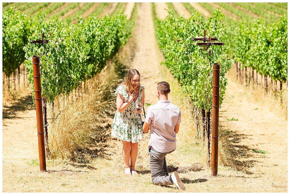 Proposal at Stags' Leap Winery in Napa_0002.jpg