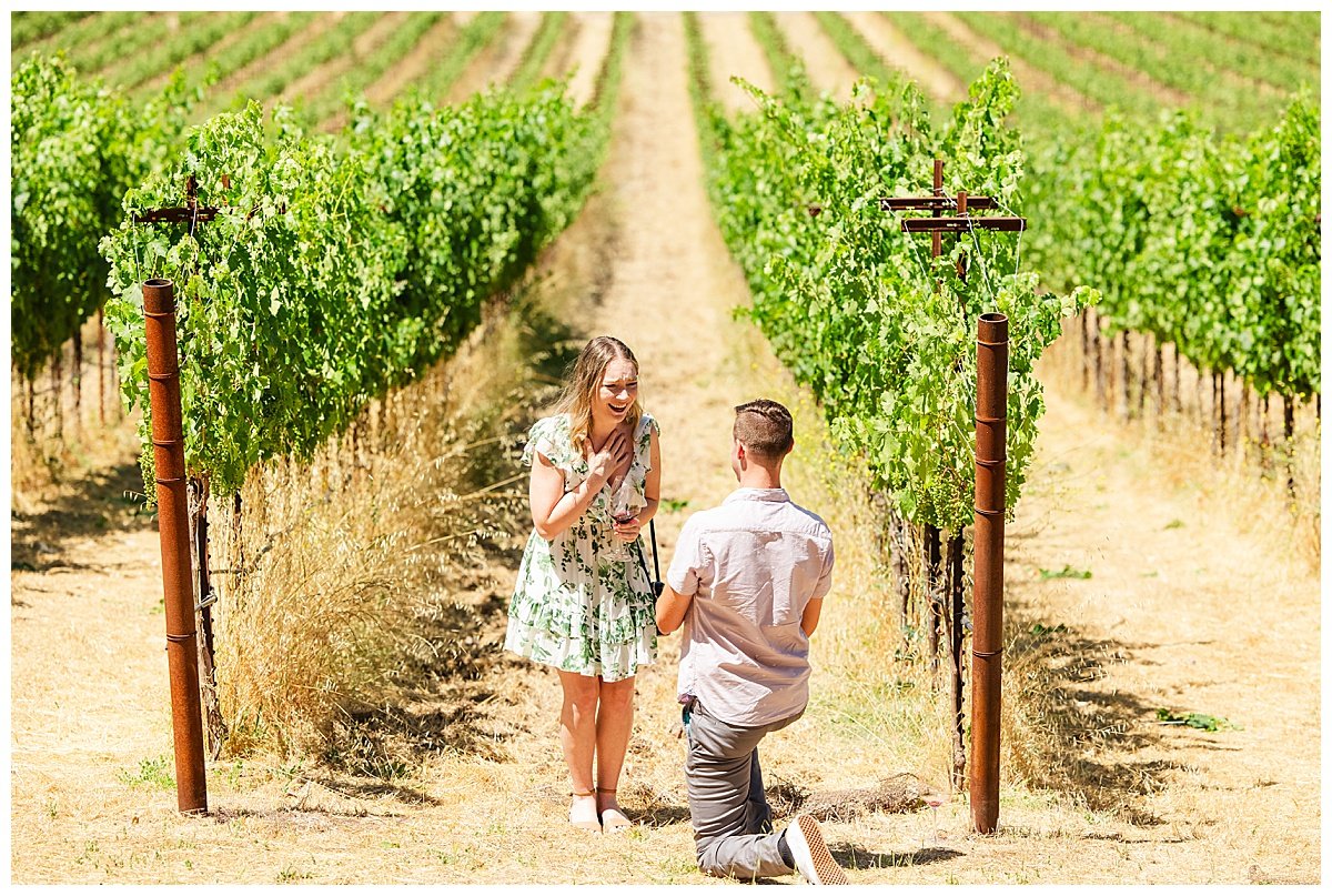 Proposal at Stags' Leap Winery in Napa_0005.jpg