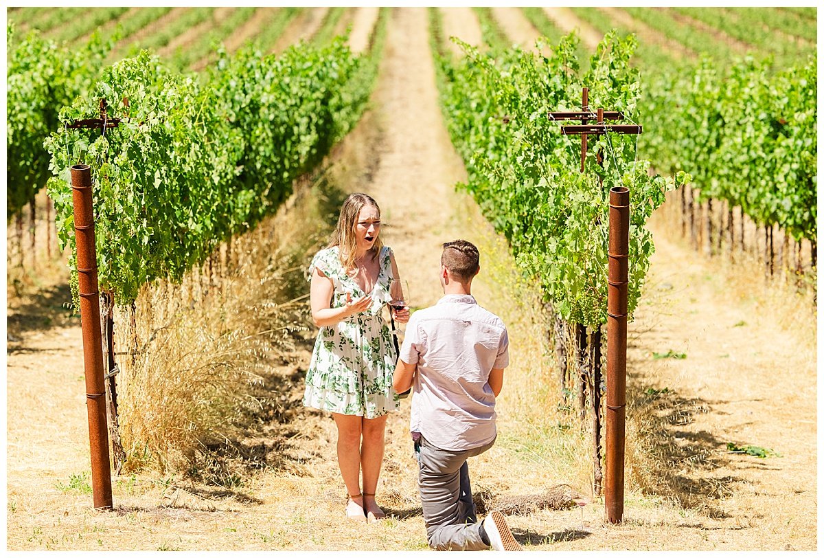 Proposal at Stags' Leap Winery in Napa_0006.jpg