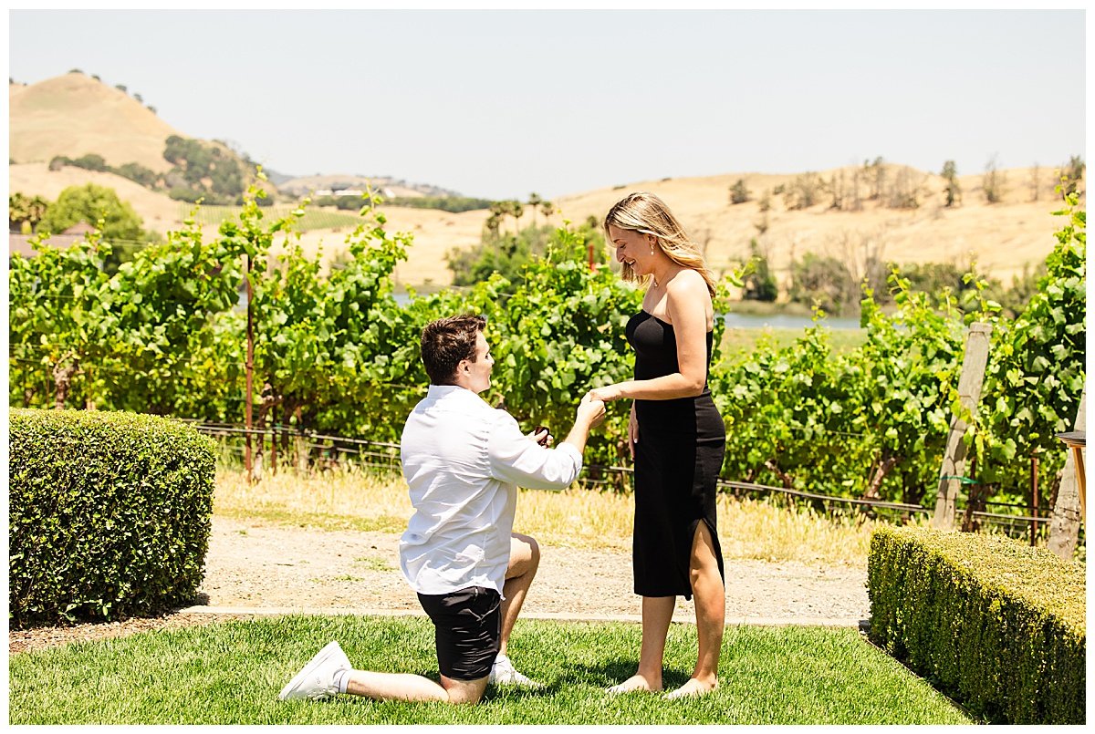 Summer Proposal at Domaine Carneros_0004.jpg