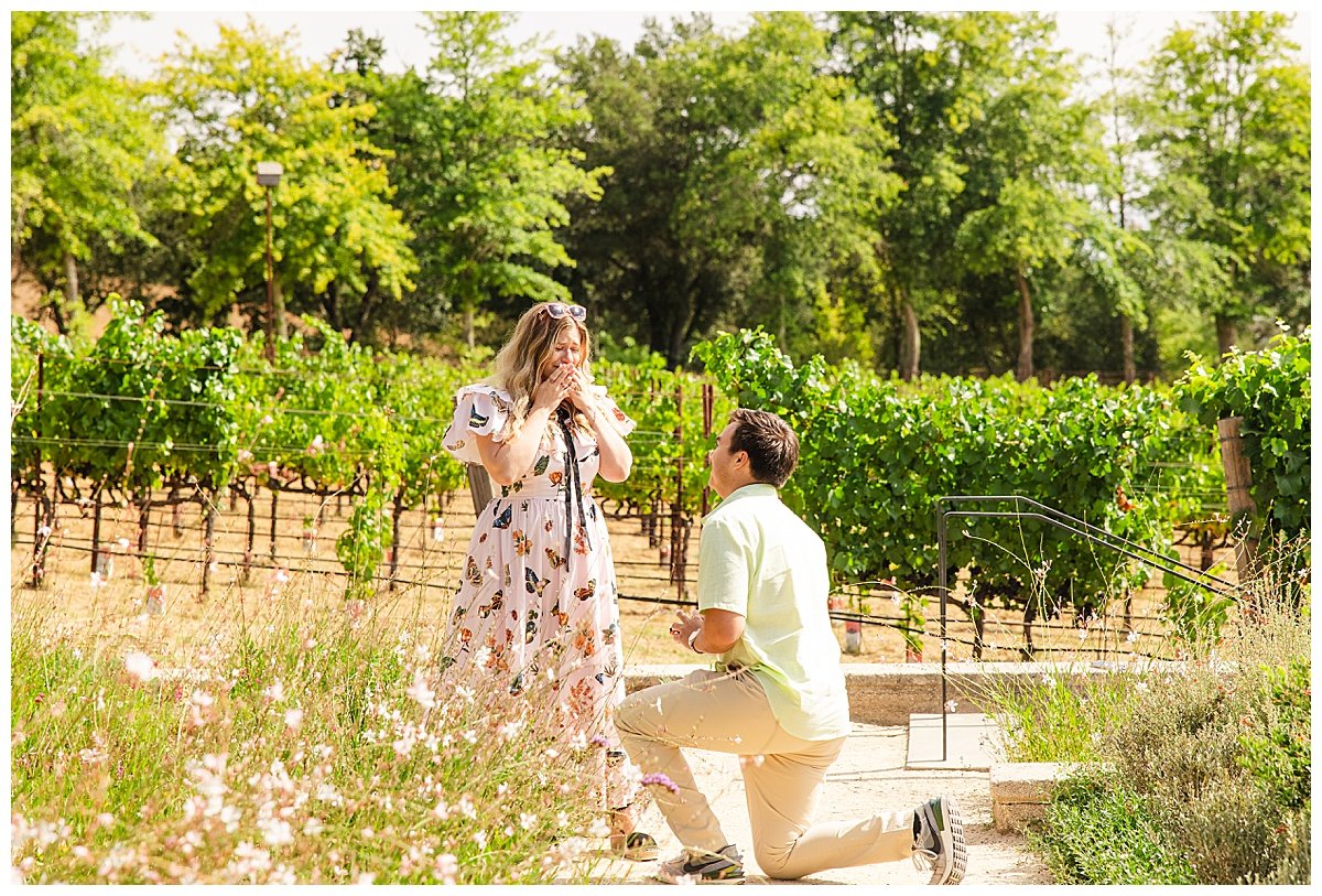 Proposal at Flowers Vineyards and Winery in Healdsburg California_0006.jpg