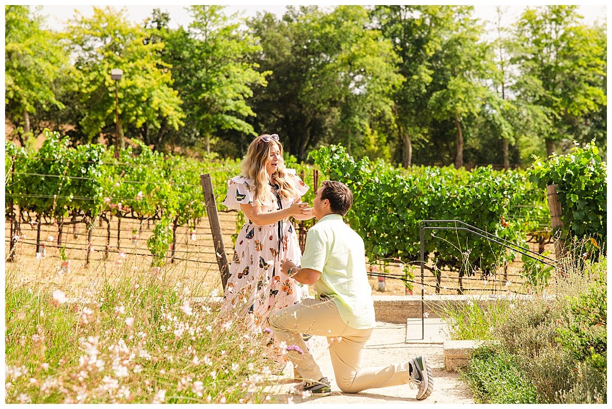 Proposal at Flowers Vineyards and Winery in Healdsburg California_0007.jpg