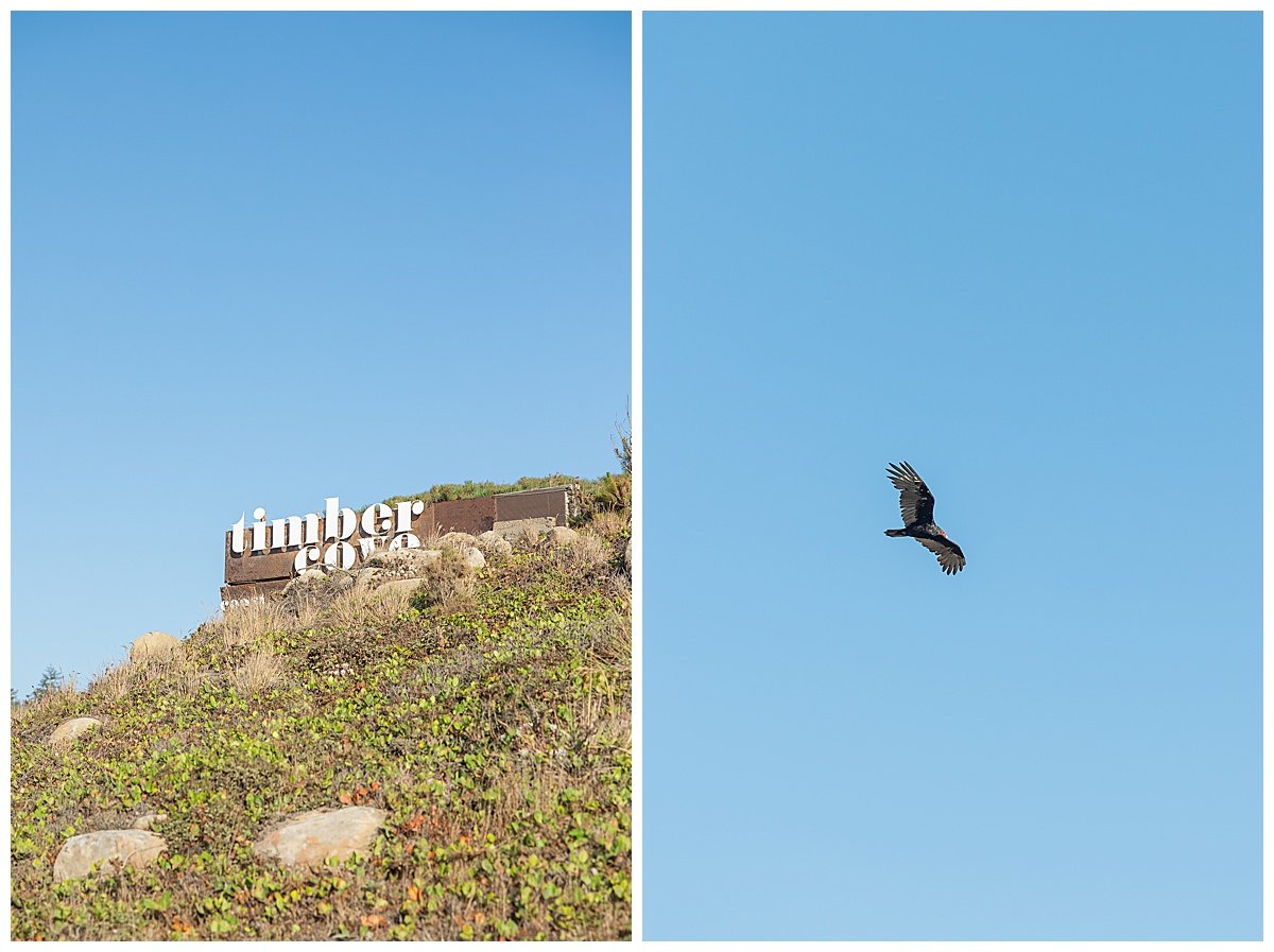 Summer Proposal at Timber Cove Resort in Jenner California_0001.jpg