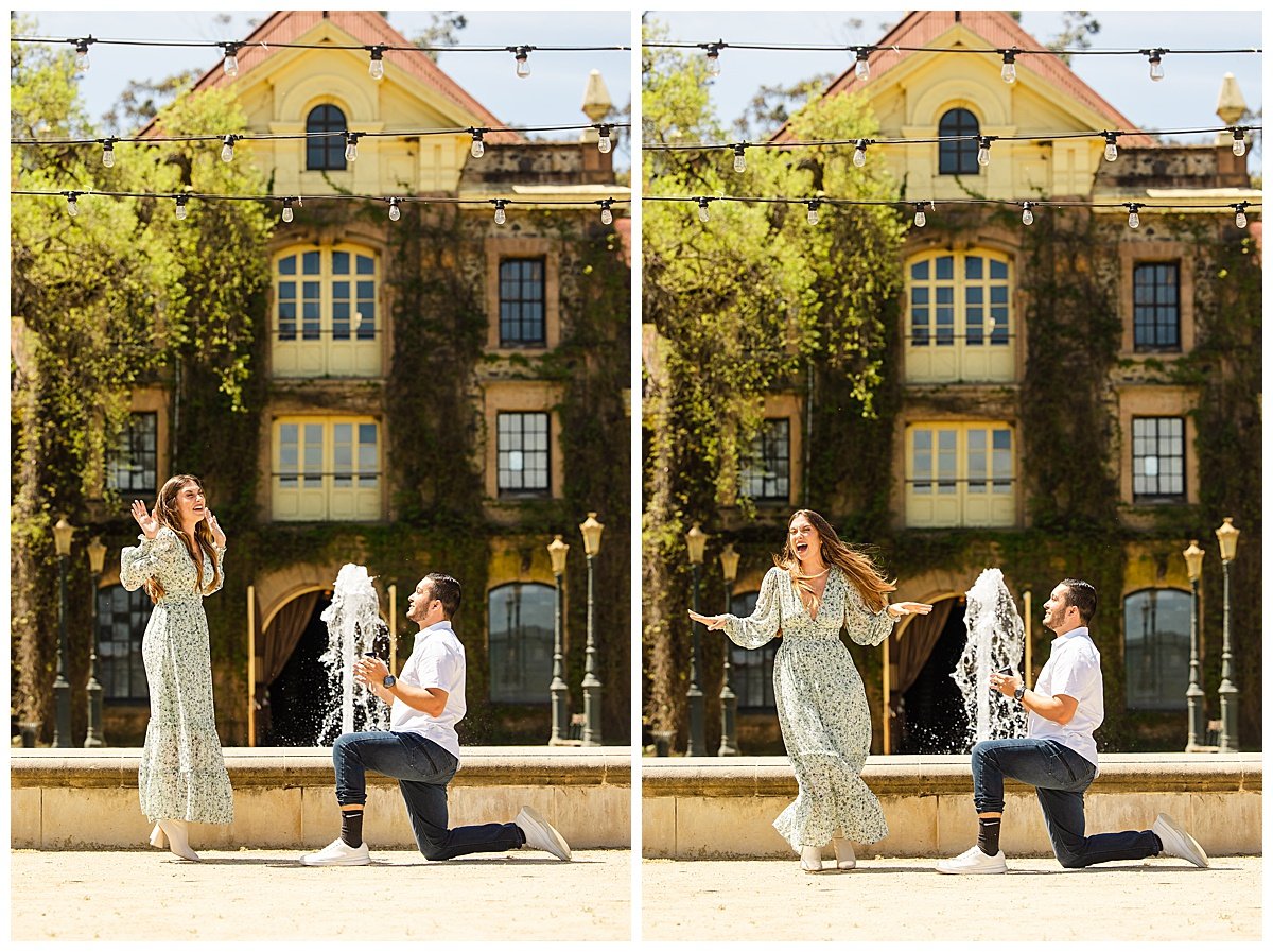 Proposal at Inglenook Winery in Rutherford California_0006.jpg