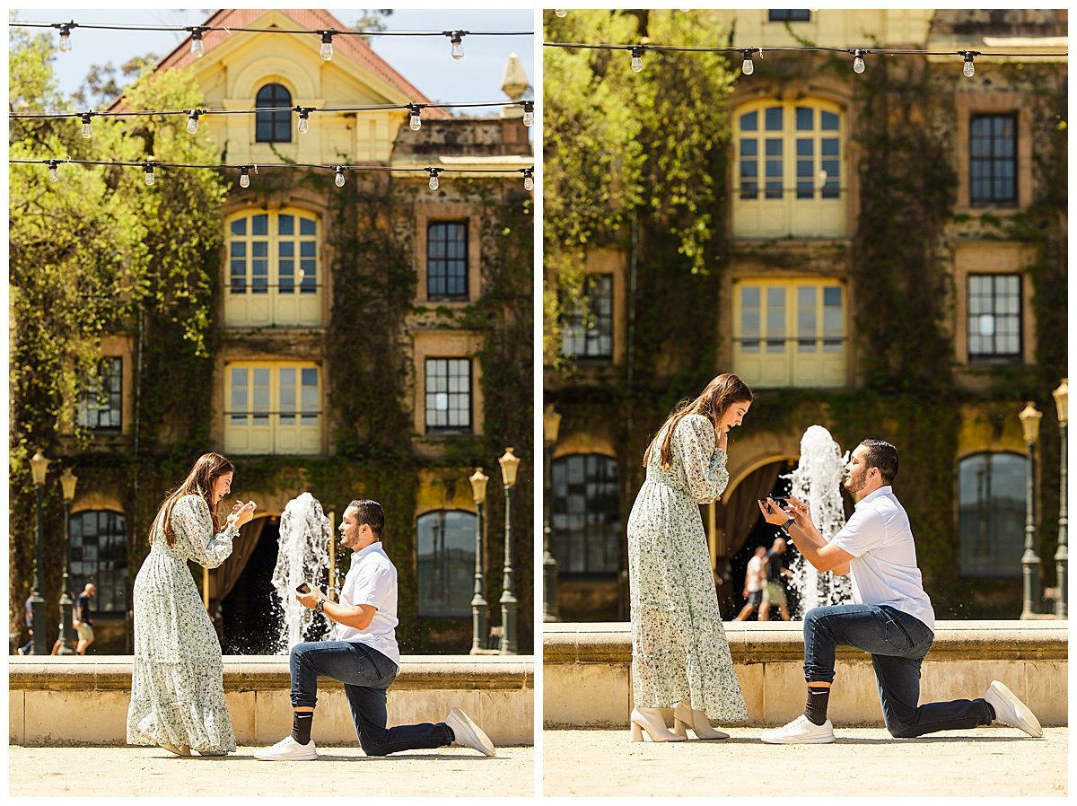 Proposal at Inglenook Winery in Rutherford California_0008.jpg